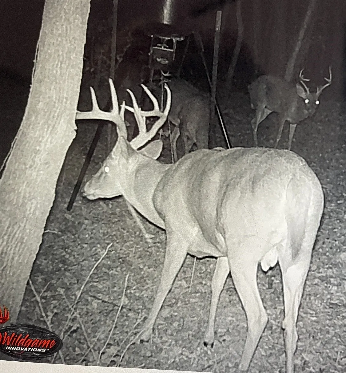 Unimproved Land For Sale in Red River (TX) County , 0000 CR 2374, Detroit, Texas 75436, 0, 0, Garage spaces, 0 Sqft, built in 0, mls#21324891, Real Estate Agent in Detroit, Homes For Sale in Red River (TX) county, Homes For Sale in Detroit, Realtor in Detroit Texas, Real Estate Brokerage Independent Realty Texas, Luminita Cordes Realtor