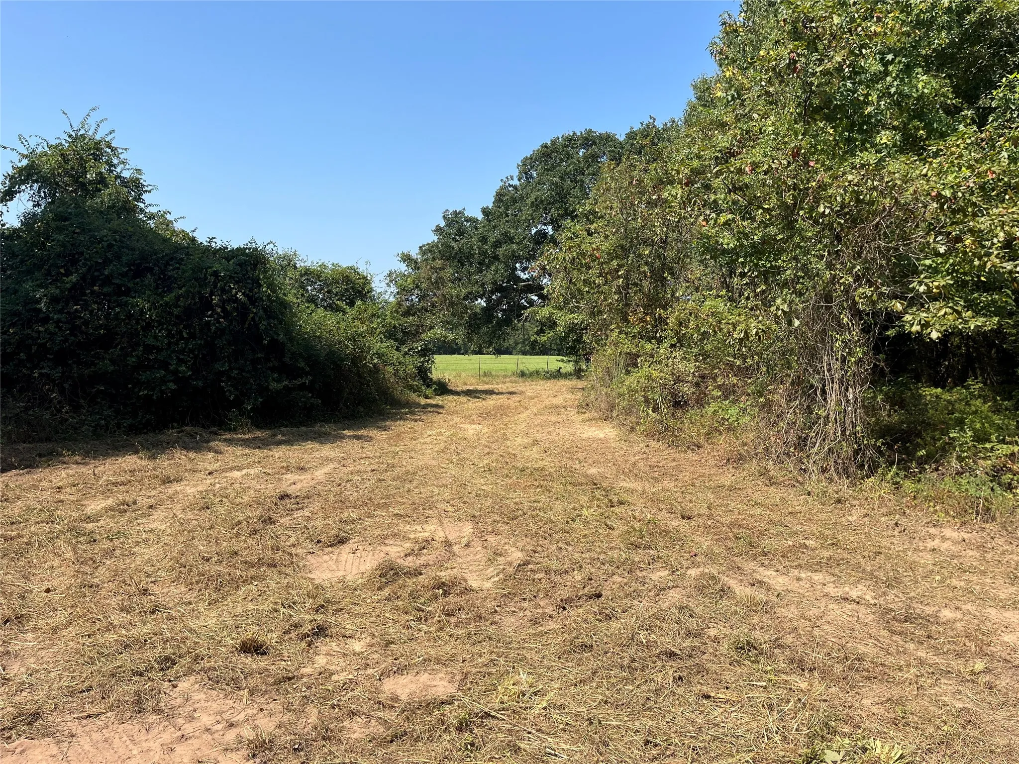 Unimproved Land For Sale in Red River (TX) County , 0000 CR 2374, Detroit, Texas 75436, 0, 0, Garage spaces, 0 Sqft, built in 0, mls#21324891, Real Estate Agent in Detroit, Homes For Sale in Red River (TX) county, Homes For Sale in Detroit, Realtor in Detroit Texas, Real Estate Brokerage Independent Realty Texas, Luminita Cordes Realtor