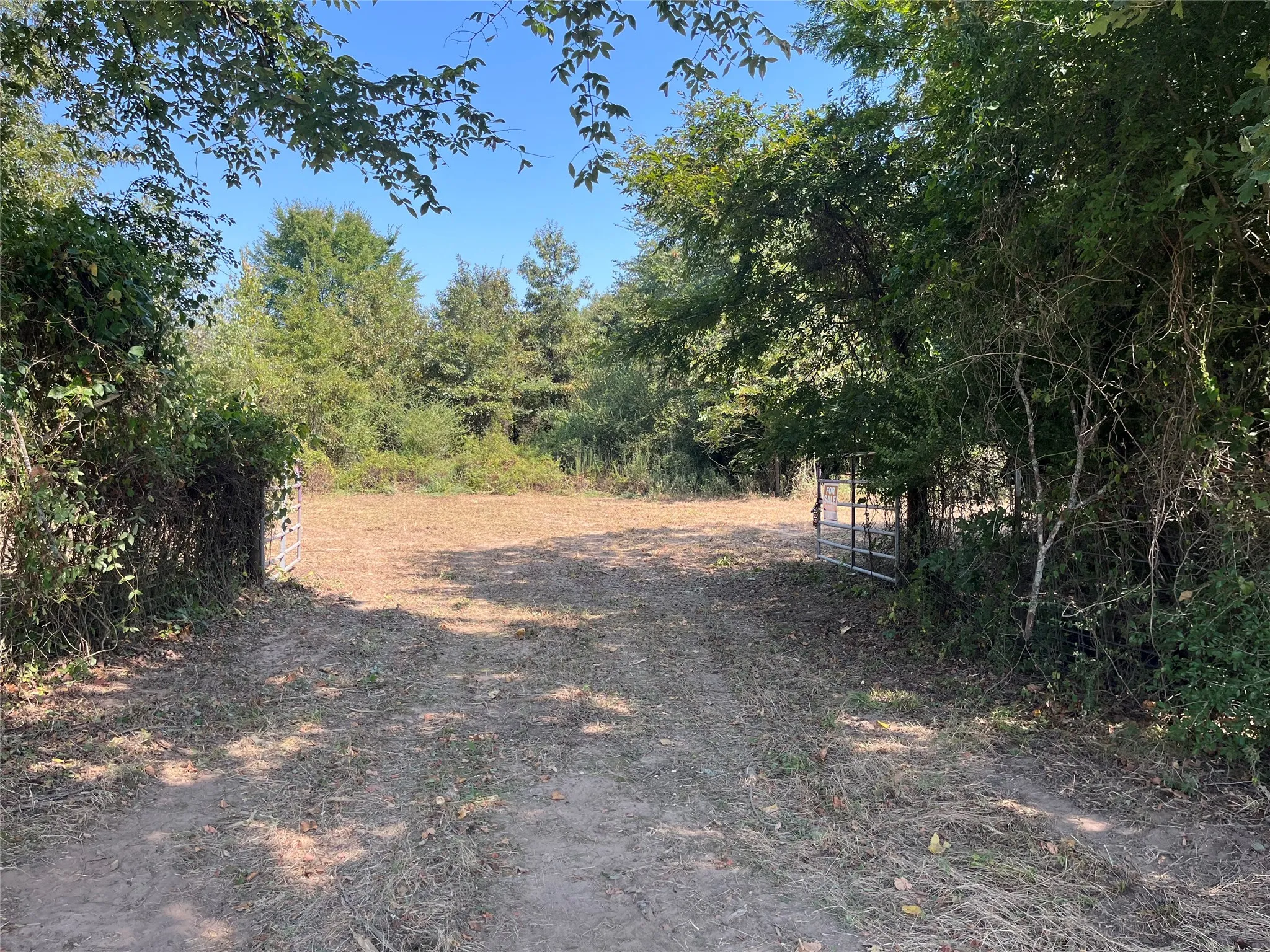 Unimproved Land For Sale in Red River (TX) County , 0000 CR 2374, Detroit, Texas 75436, 0, 0, Garage spaces, 0 Sqft, built in 0, mls#21324891, Real Estate Agent in Detroit, Homes For Sale in Red River (TX) county, Homes For Sale in Detroit, Realtor in Detroit Texas, Real Estate Brokerage Independent Realty Texas, Luminita Cordes Realtor
