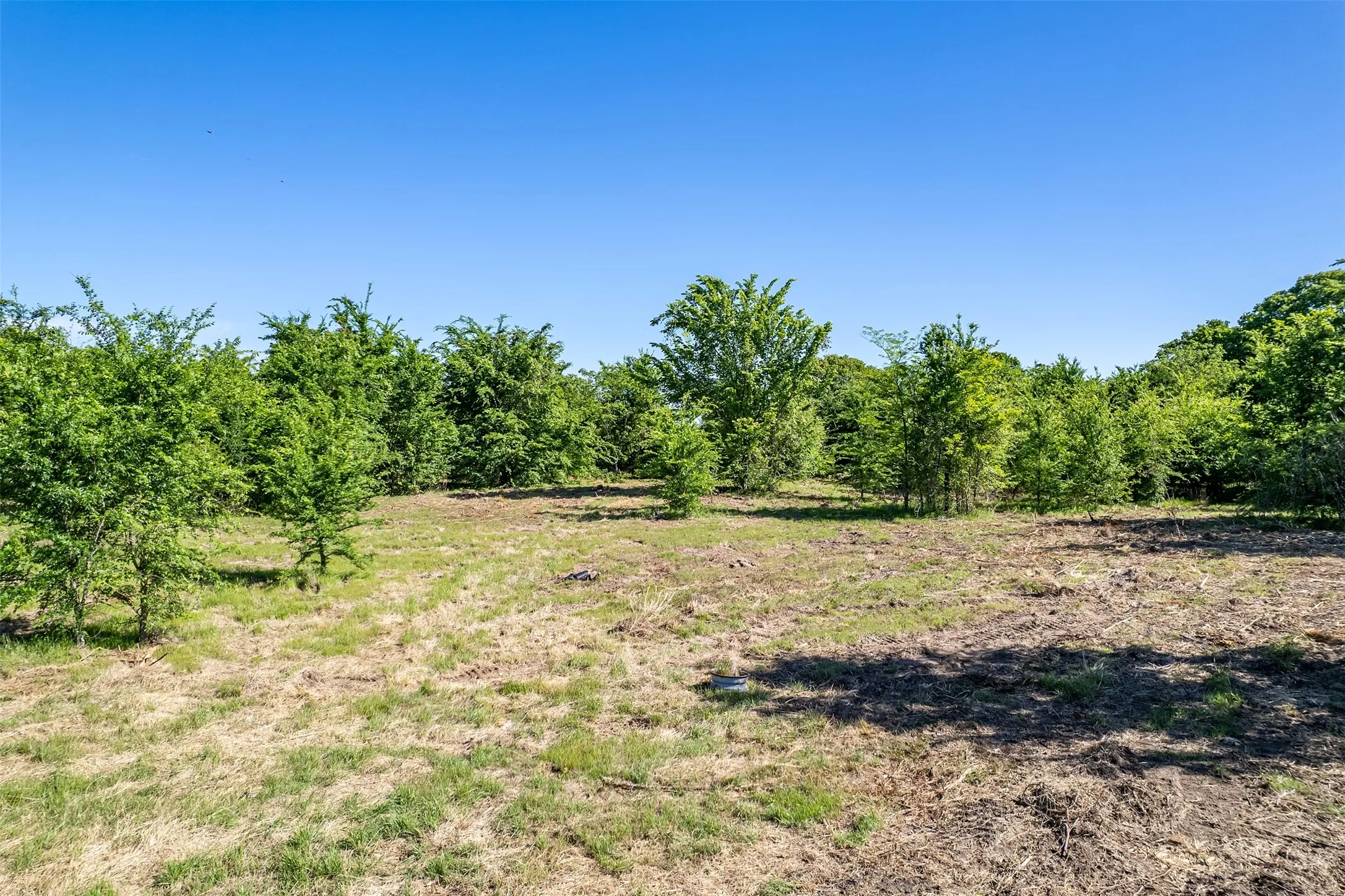 Improved Land For Sale in Henderson County , 15826 County Road 2501, Eustace, Texas 75124, 0, 0, Garage spaces, 0 Sqft, built in 0, mls#21376844, Real Estate Agent in Eustace, Homes For Sale in Henderson county, Homes For Sale in Eustace, Realtor in Eustace Texas, Real Estate Brokerage Independent Realty Texas, Luminita Cordes Realtor
