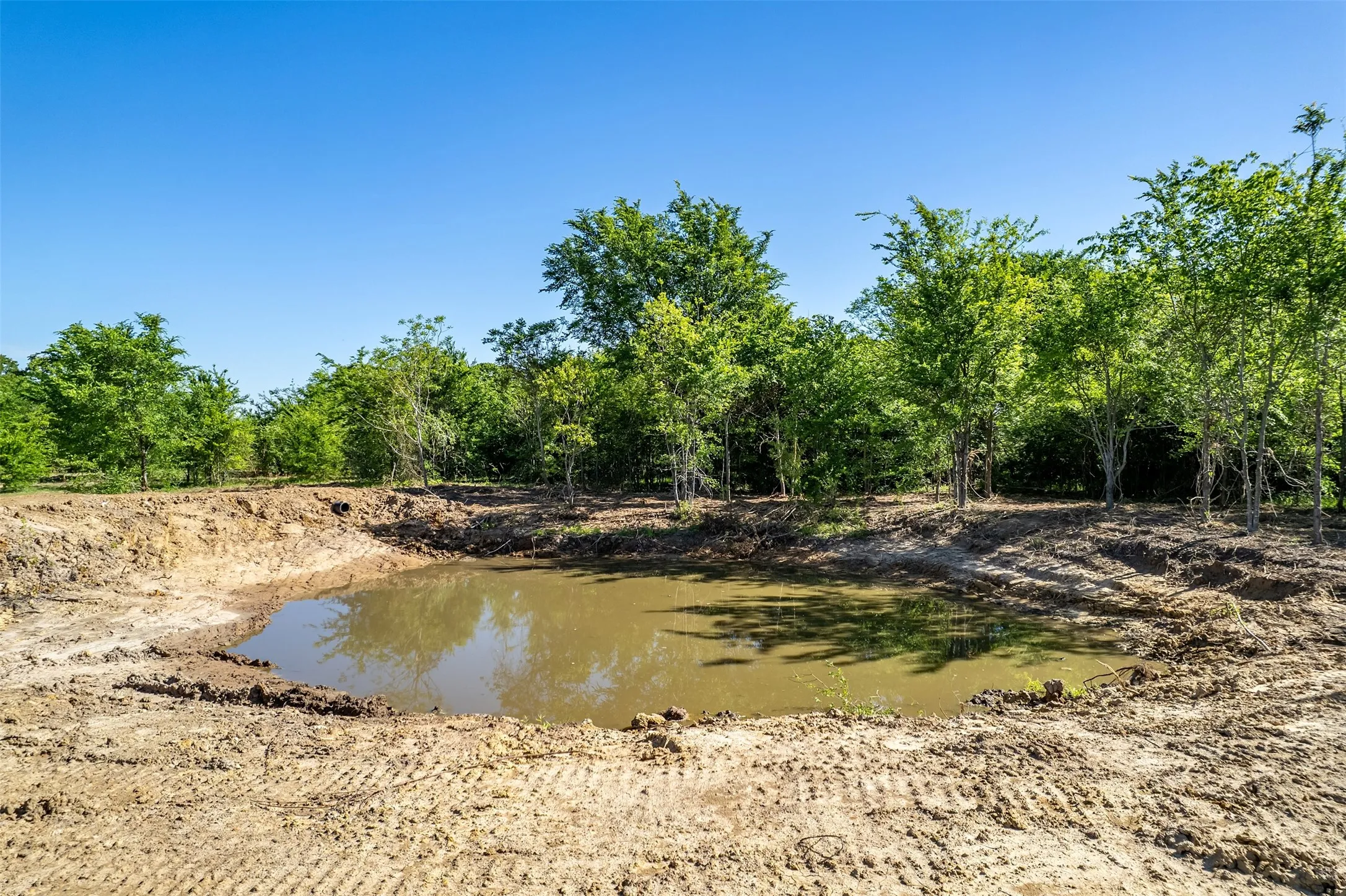 Excavated pond with surrounding natural foliage