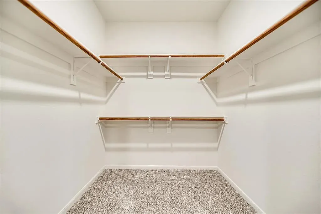 Walk-in closet featuring white walls, carpet flooring, and multiple built-in wood-finish shelving and hanging rods