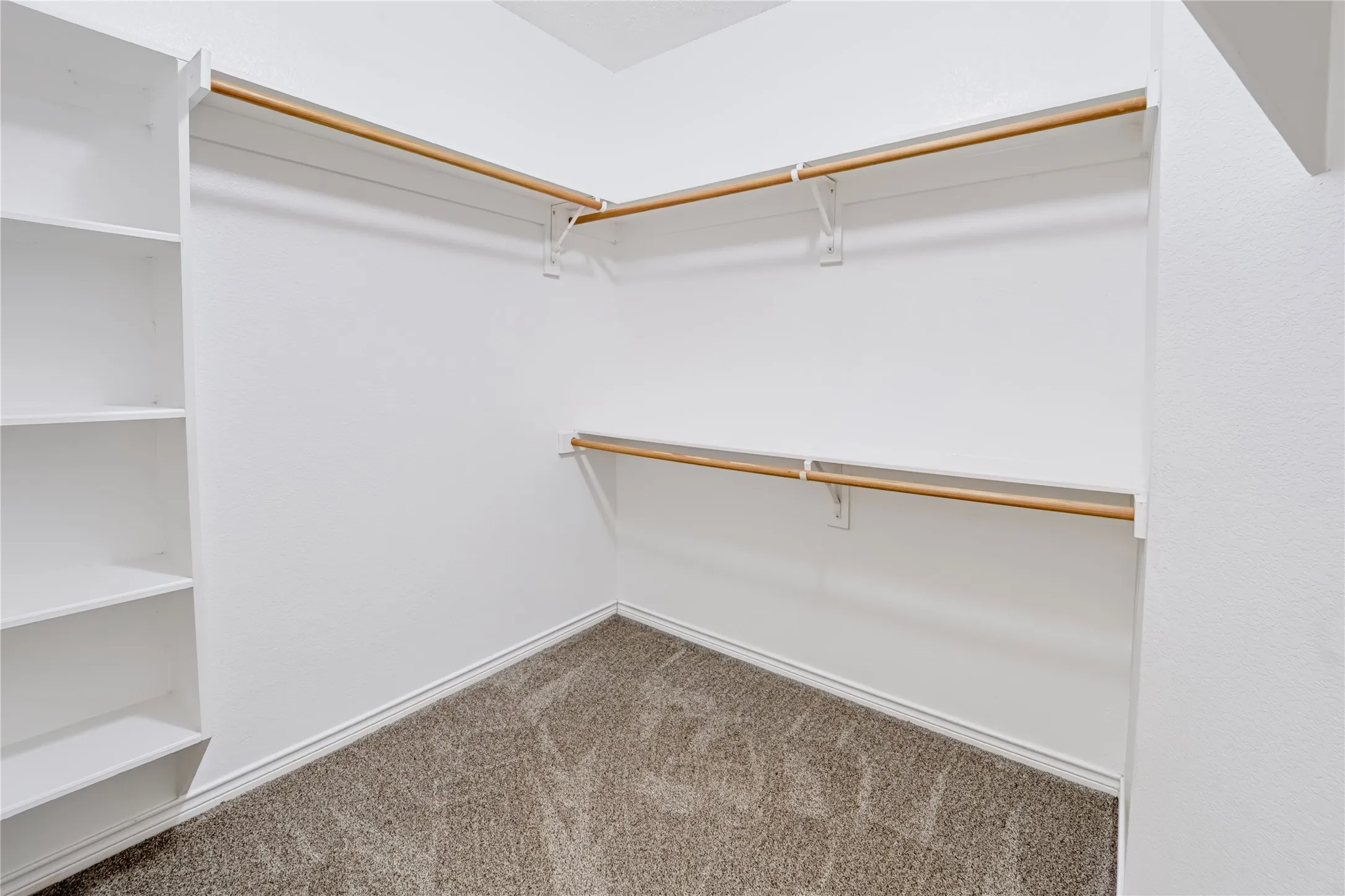 Walk-in closet featuring tiered clothing rods, integrated white shelving, and neutral carpeting