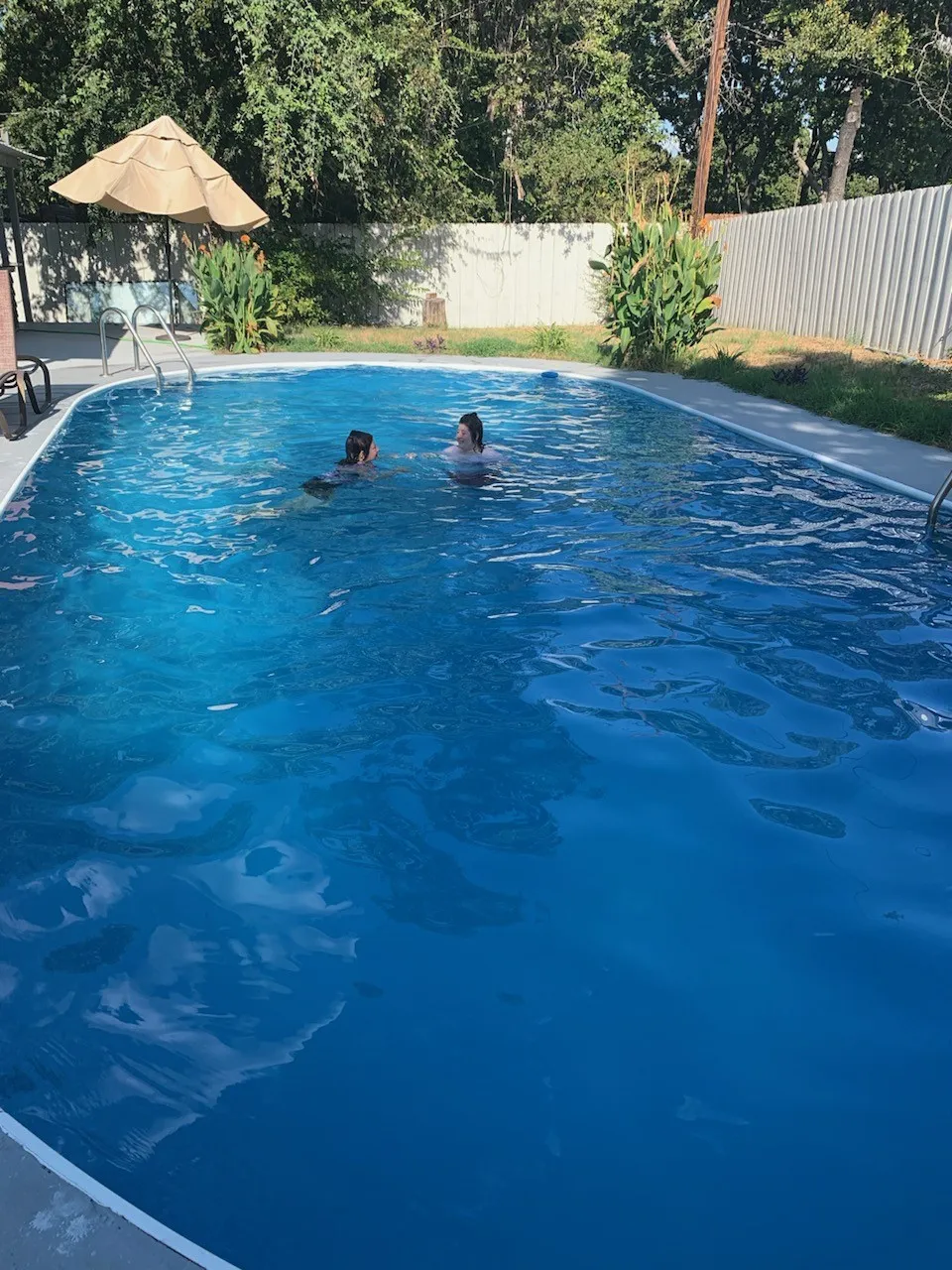 Outdoor swimming pool with integrated steps, surrounded by a metal privacy fence and mature landscaping