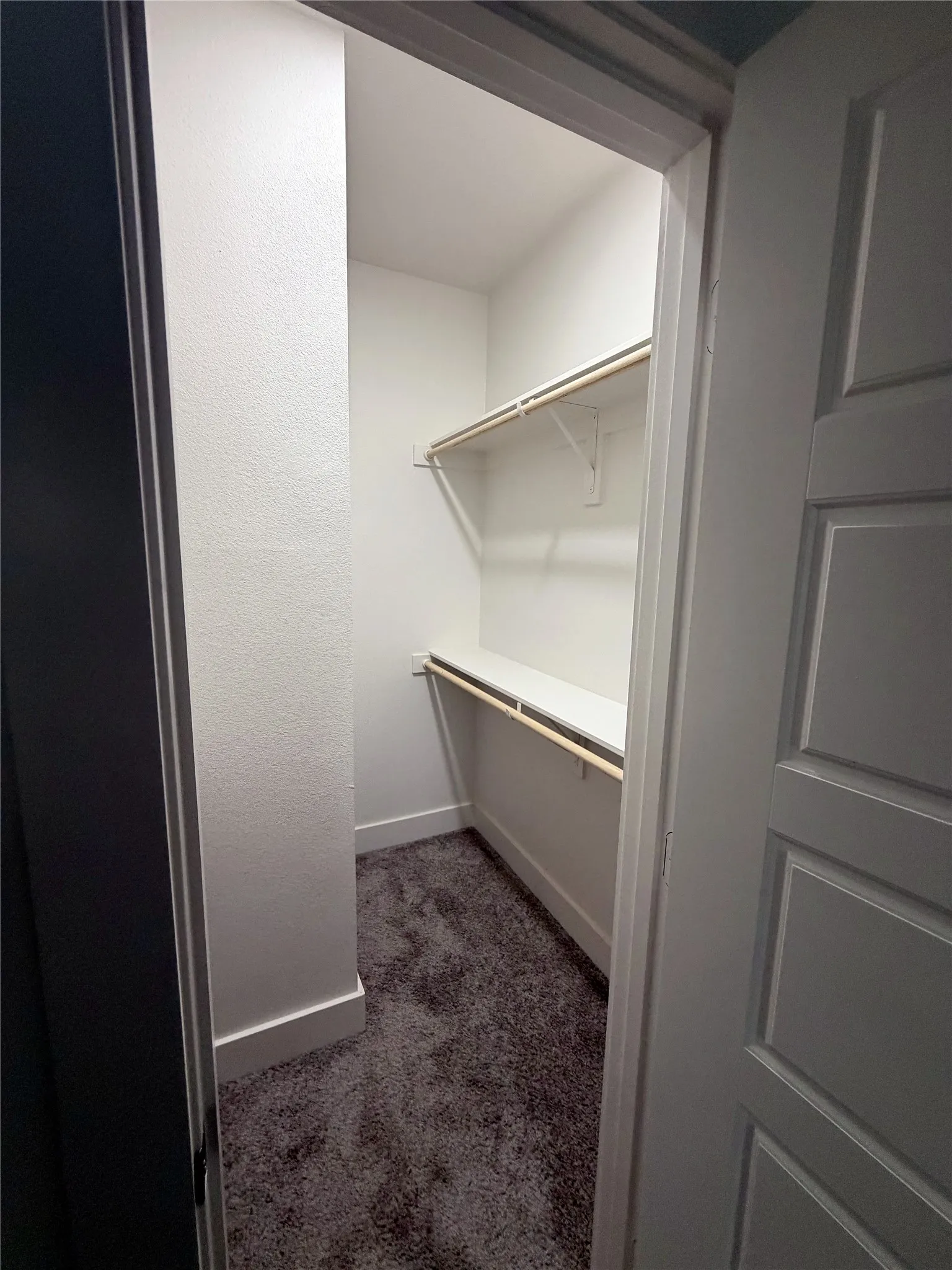 Walk-in closet featuring plush gray carpeting, white walls, and built-in shelving with hanging rods