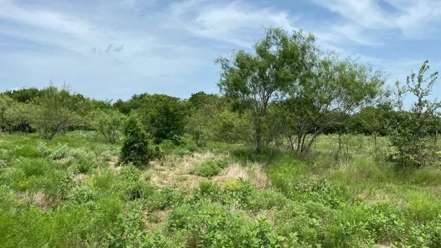 Single Family Residence For Sale in Rockwall County , 878 S Munson Road, Royse City, Texas 75189, 3 Bedroom, 2 Bathroom, Garage spaces, 1,608 Sqft, built in 1976, mls#21376938, Real Estate Agent in Royse City, Homes For Sale in Rockwall county, Homes For Sale in Royse City, Realtor in Royse City Texas, Real Estate Brokerage Independent Realty Texas, Luminita Cordes Realtor