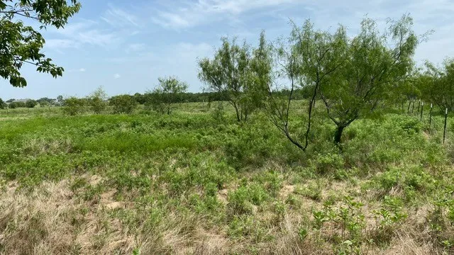 Single Family Residence For Sale in Rockwall County , 878 S Munson Road, Royse City, Texas 75189, 3 Bedroom, 2 Bathroom, Garage spaces, 1,608 Sqft, built in 1976, mls#21376938, Real Estate Agent in Royse City, Homes For Sale in Rockwall county, Homes For Sale in Royse City, Realtor in Royse City Texas, Real Estate Brokerage Independent Realty Texas, Luminita Cordes Realtor