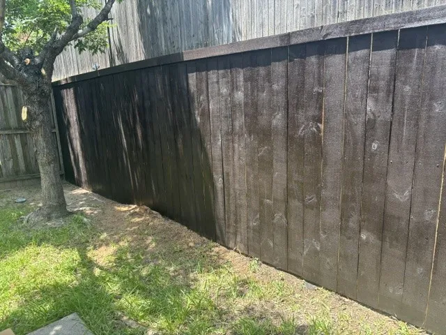 New fence