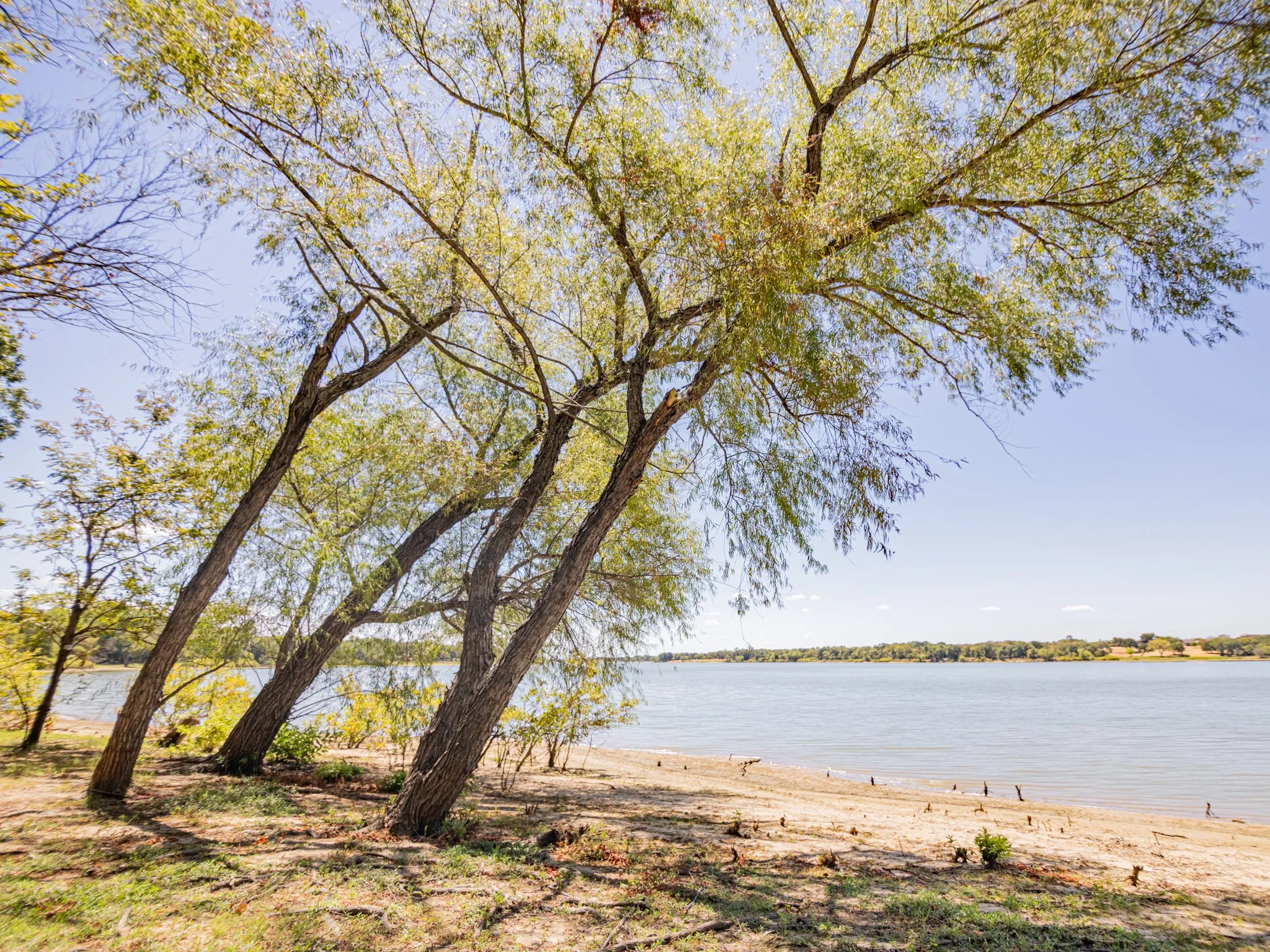 Waterfront property with mature trees and a sandy shoreline