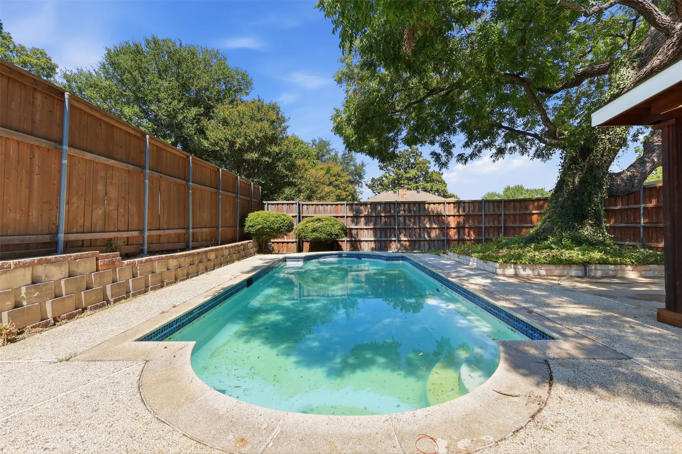 Inviting backyard featuring a rectangular swimming pool with integrated steps, surrounded by a textured concrete patio