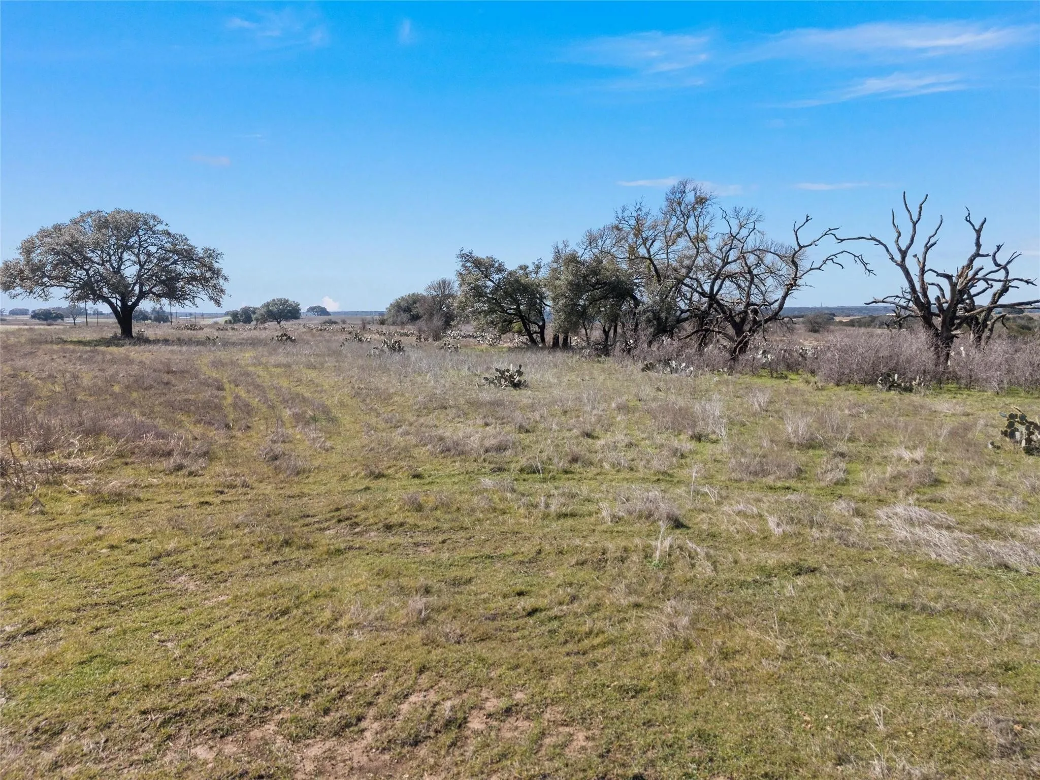 Unimproved Land For Sale in Coryell County , Lot 174 Grand Canyon Drive, Oglesby, Texas 76561, 0, 0, Garage spaces, 0 Sqft, built in 0, mls#21375670, Real Estate Agent in Oglesby, Homes For Sale in Coryell county, Homes For Sale in Oglesby, Realtor in Oglesby Texas, Real Estate Brokerage Independent Realty Texas, Luminita Cordes Realtor