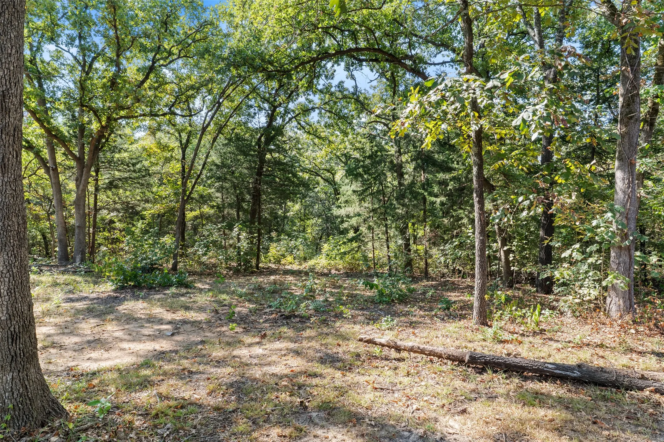 Single Family Residence For Sale in Fannin County , 211 David Crockett Trail, Honey Grove, Texas 75446, 2 Bedroom, 1 Bathroom, Garage spaces, 869 Sqft, built in 2022, mls#21366323, Real Estate Agent in Honey Grove, Homes For Sale in Fannin county, Homes For Sale in Honey Grove, Realtor in Honey Grove Texas, Real Estate Brokerage Independent Realty Texas, Luminita Cordes Realtor