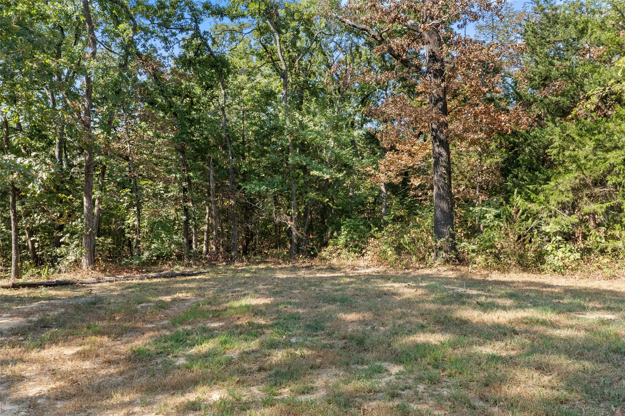 Single Family Residence For Sale in Fannin County , 211 David Crockett Trail, Honey Grove, Texas 75446, 2 Bedroom, 1 Bathroom, Garage spaces, 869 Sqft, built in 2022, mls#21366323, Real Estate Agent in Honey Grove, Homes For Sale in Fannin county, Homes For Sale in Honey Grove, Realtor in Honey Grove Texas, Real Estate Brokerage Independent Realty Texas, Luminita Cordes Realtor
