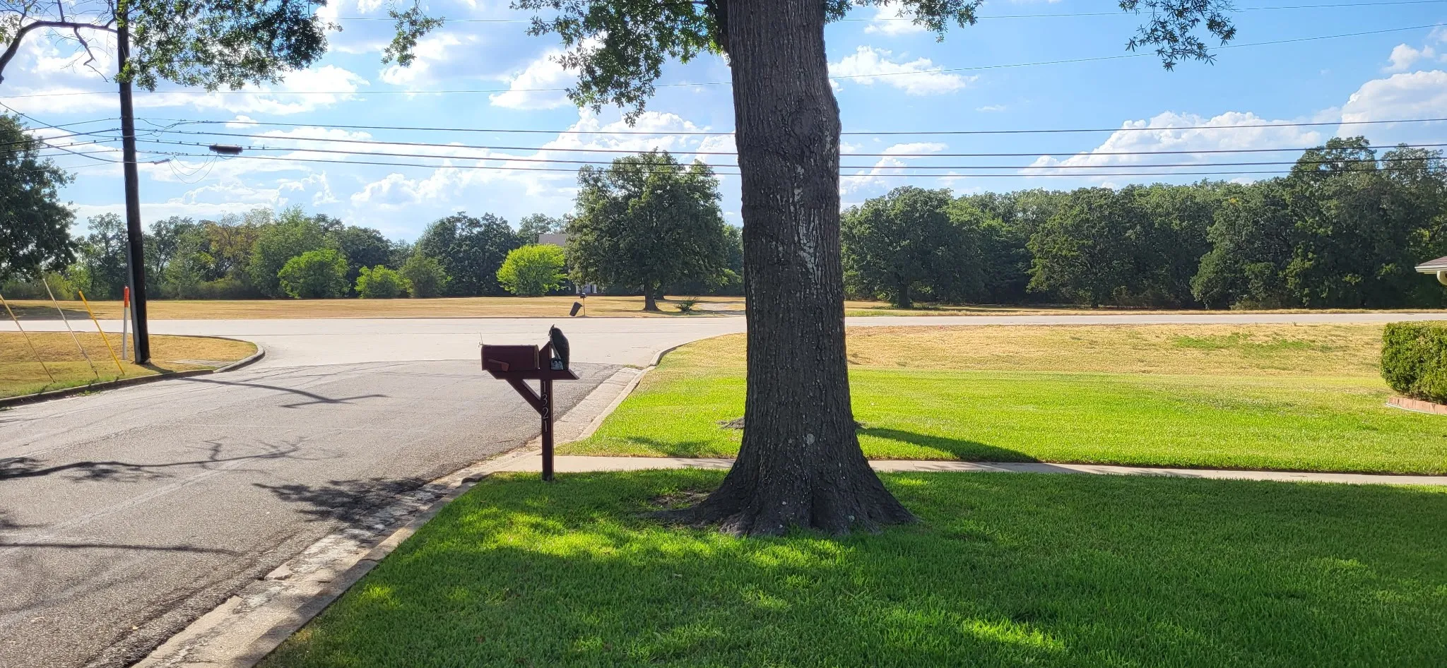 Single Family Residence For Sale in Hopkins County , 1321 Lakeview Drive, Sulphur Springs, Texas 75482, 3 Bedroom, 3 Bathroom, 2 Garage spaces, 1,960 Sqft, built in 1960, mls#21376631, Real Estate Agent in Sulphur Springs, Homes For Sale in Hopkins county, Homes For Sale in Sulphur Springs, Realtor in Sulphur Springs Texas, Real Estate Brokerage Independent Realty Texas, Luminita Cordes Realtor