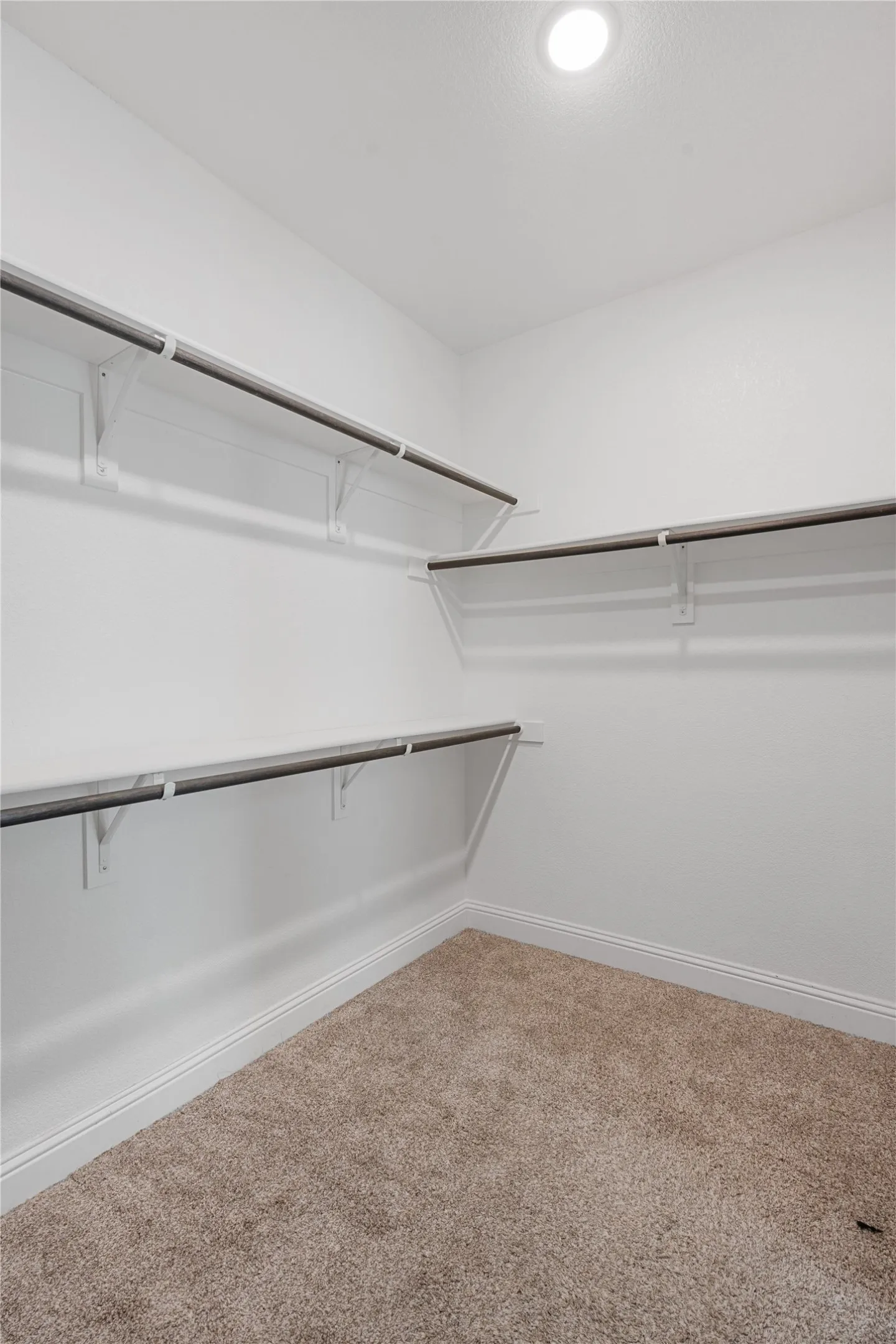 Walk in closet featuring carpet