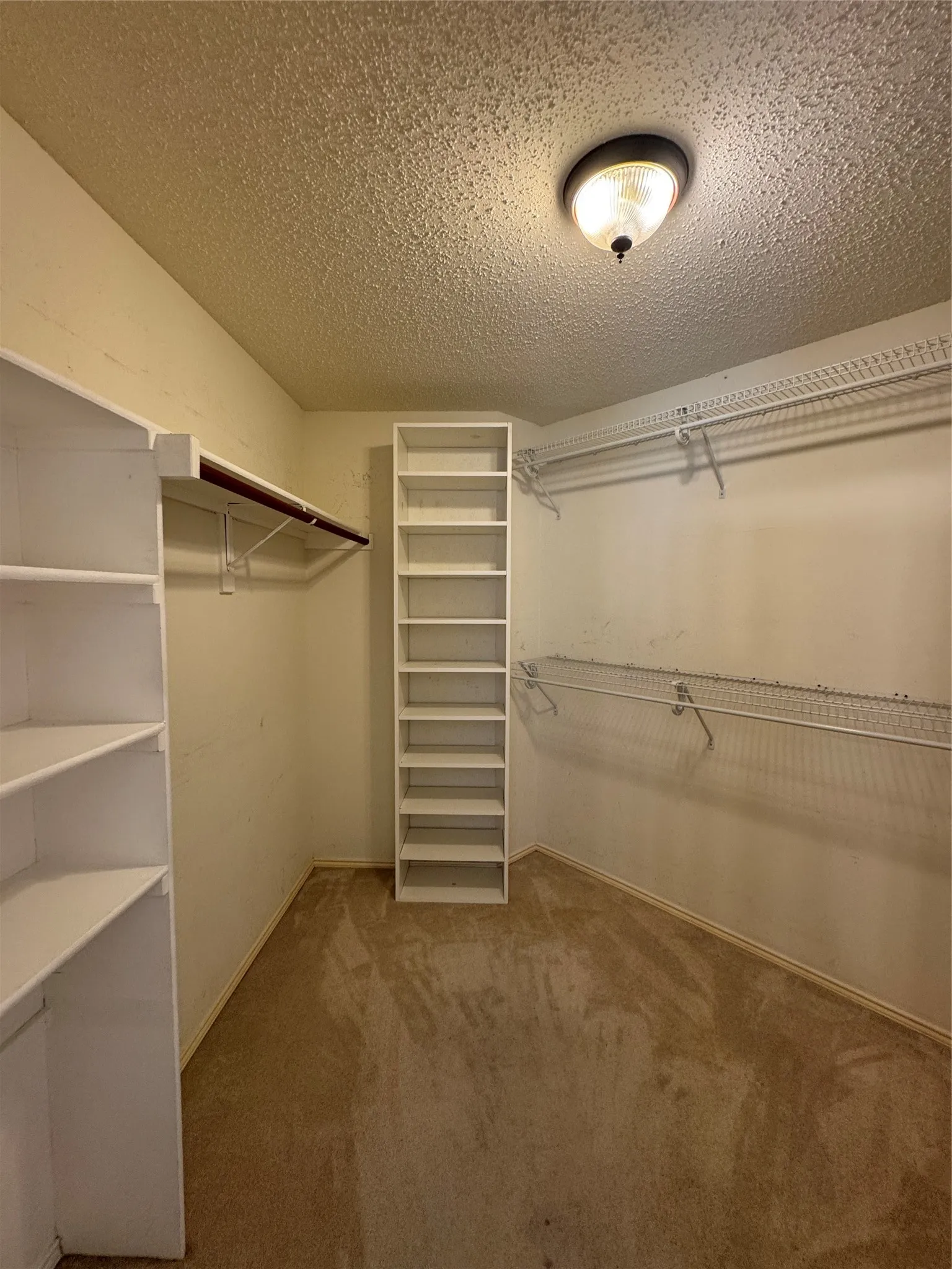 Single Family Residence For Rent in Collin County , 442 Trinity Drive, Allen, Texas 75002, 4 Bedroom, 3 Bathroom, 2 Garage spaces, 2,557 Sqft, built in 2001, mls#21377049, Real Estate Agent in Allen, Homes For Rent in Collin county, Homes For Rent in Allen, Realtor in Allen Texas, Real Estate Brokerage Independent Realty Texas, Luminita Cordes Realtor