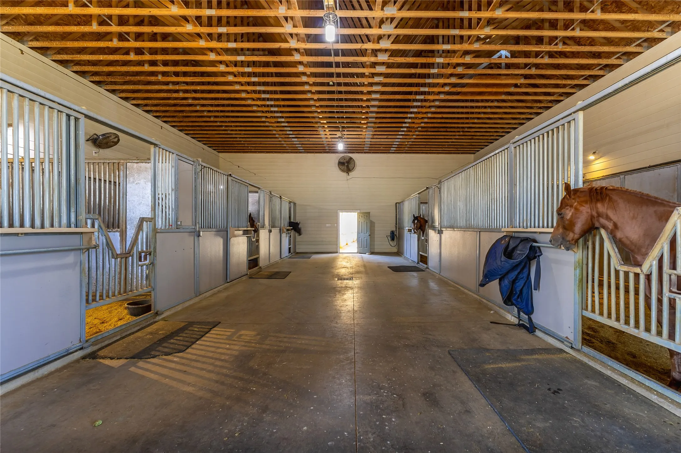 Farm For Sale in Hopkins County , 6220 INTERSTATE HIGHWAY 30 E, Sulphur Springs, Texas 75482, 4 Bedroom, 6 Bathroom, 7 Garage spaces, 6,548 Sqft, built in 2005, mls#21376762, Real Estate Agent in Sulphur Springs, Homes For Sale in Hopkins county, Homes For Sale in Sulphur Springs, Realtor in Sulphur Springs Texas, Real Estate Brokerage Independent Realty Texas, Luminita Cordes Realtor