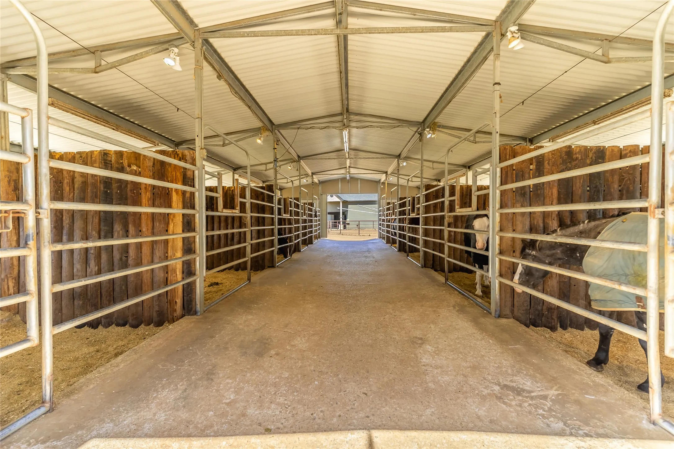 Farm For Sale in Hopkins County , 6220 INTERSTATE HIGHWAY 30 E, Sulphur Springs, Texas 75482, 4 Bedroom, 6 Bathroom, 7 Garage spaces, 6,548 Sqft, built in 2005, mls#21376762, Real Estate Agent in Sulphur Springs, Homes For Sale in Hopkins county, Homes For Sale in Sulphur Springs, Realtor in Sulphur Springs Texas, Real Estate Brokerage Independent Realty Texas, Luminita Cordes Realtor