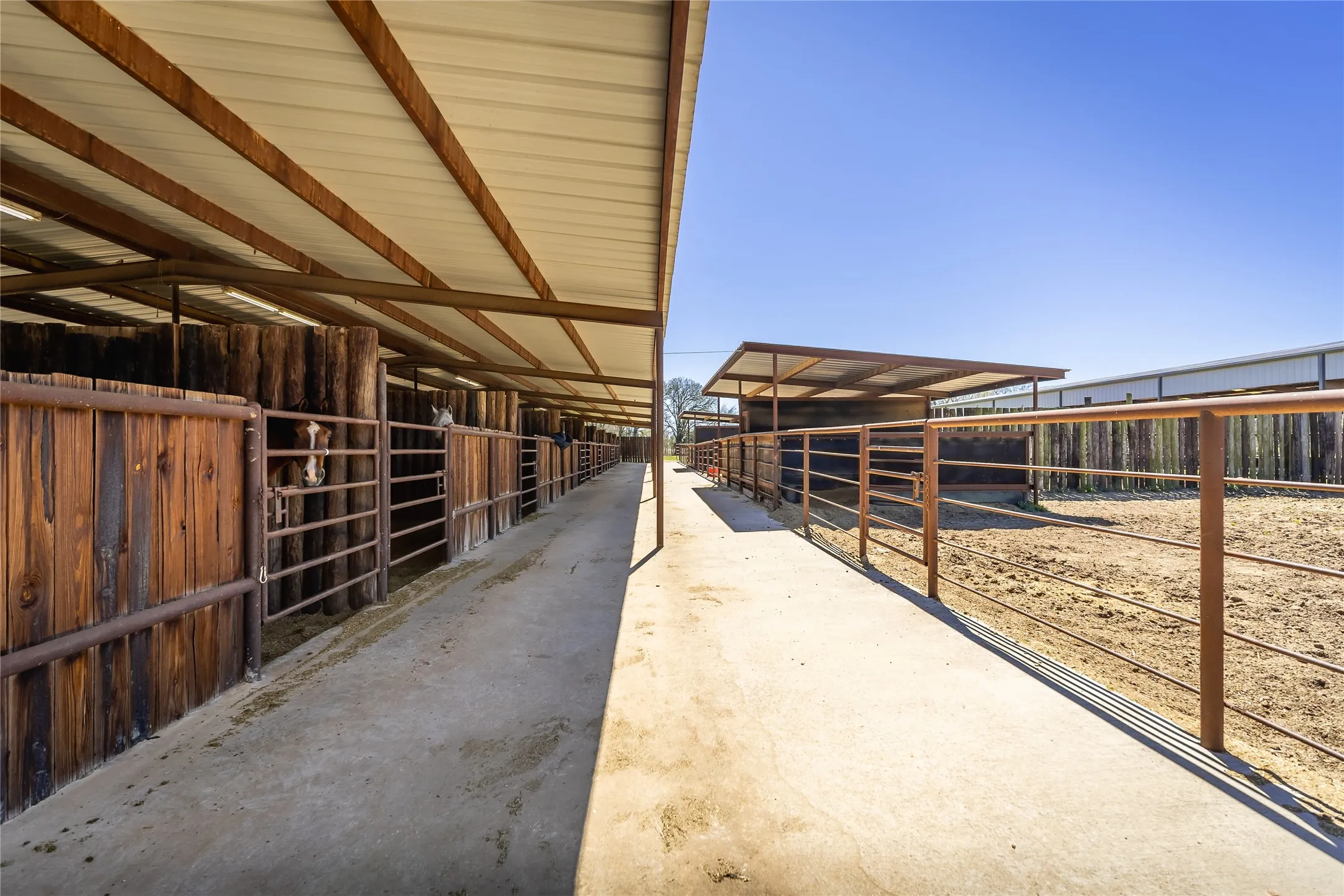 Farm For Sale in Hopkins County , 6220 INTERSTATE HIGHWAY 30 E, Sulphur Springs, Texas 75482, 4 Bedroom, 6 Bathroom, 7 Garage spaces, 6,548 Sqft, built in 2005, mls#21376762, Real Estate Agent in Sulphur Springs, Homes For Sale in Hopkins county, Homes For Sale in Sulphur Springs, Realtor in Sulphur Springs Texas, Real Estate Brokerage Independent Realty Texas, Luminita Cordes Realtor