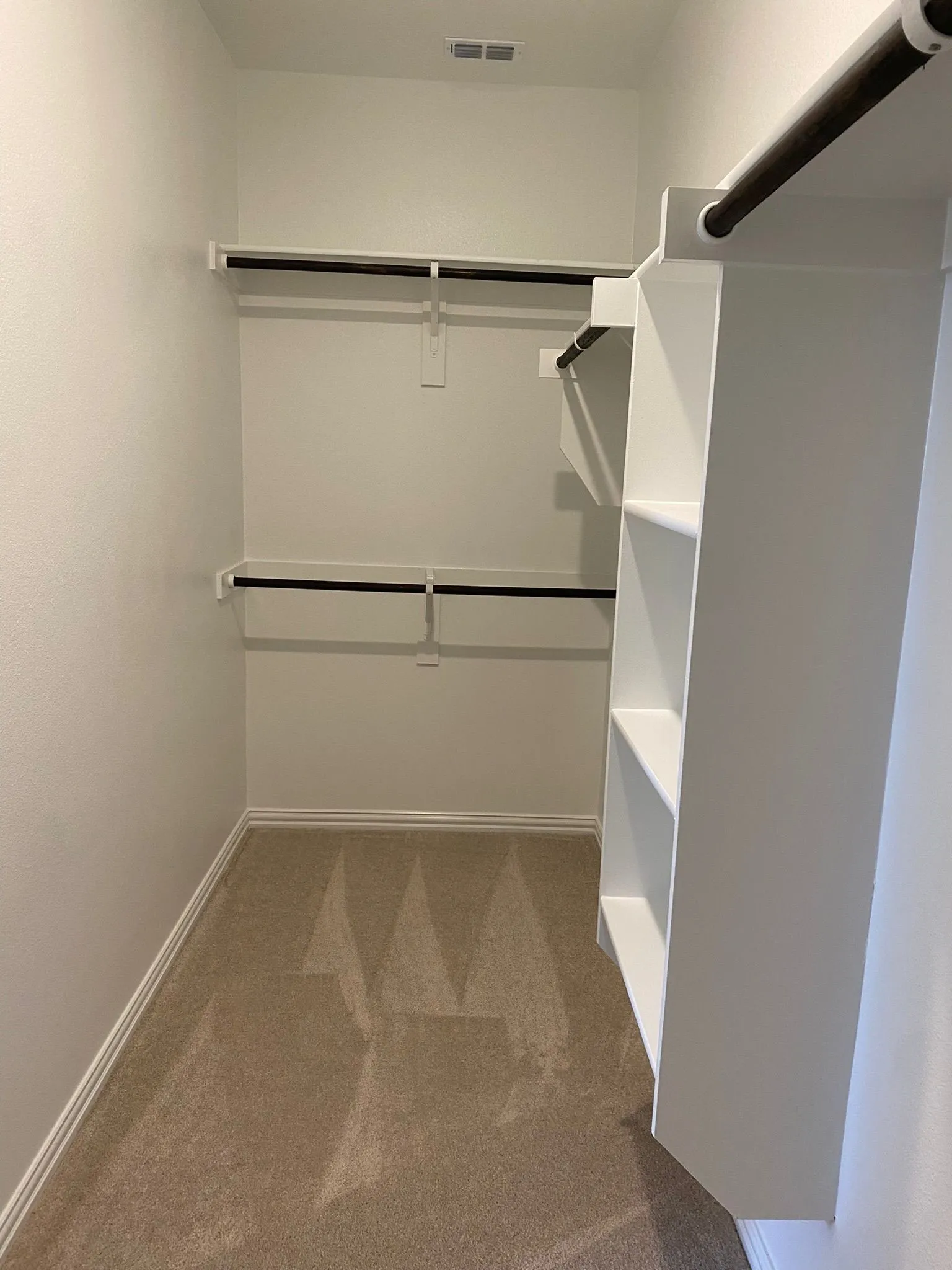 Spacious walk-in closet featuring built-in shelving, multiple hanging rods, and plush carpet flooring
