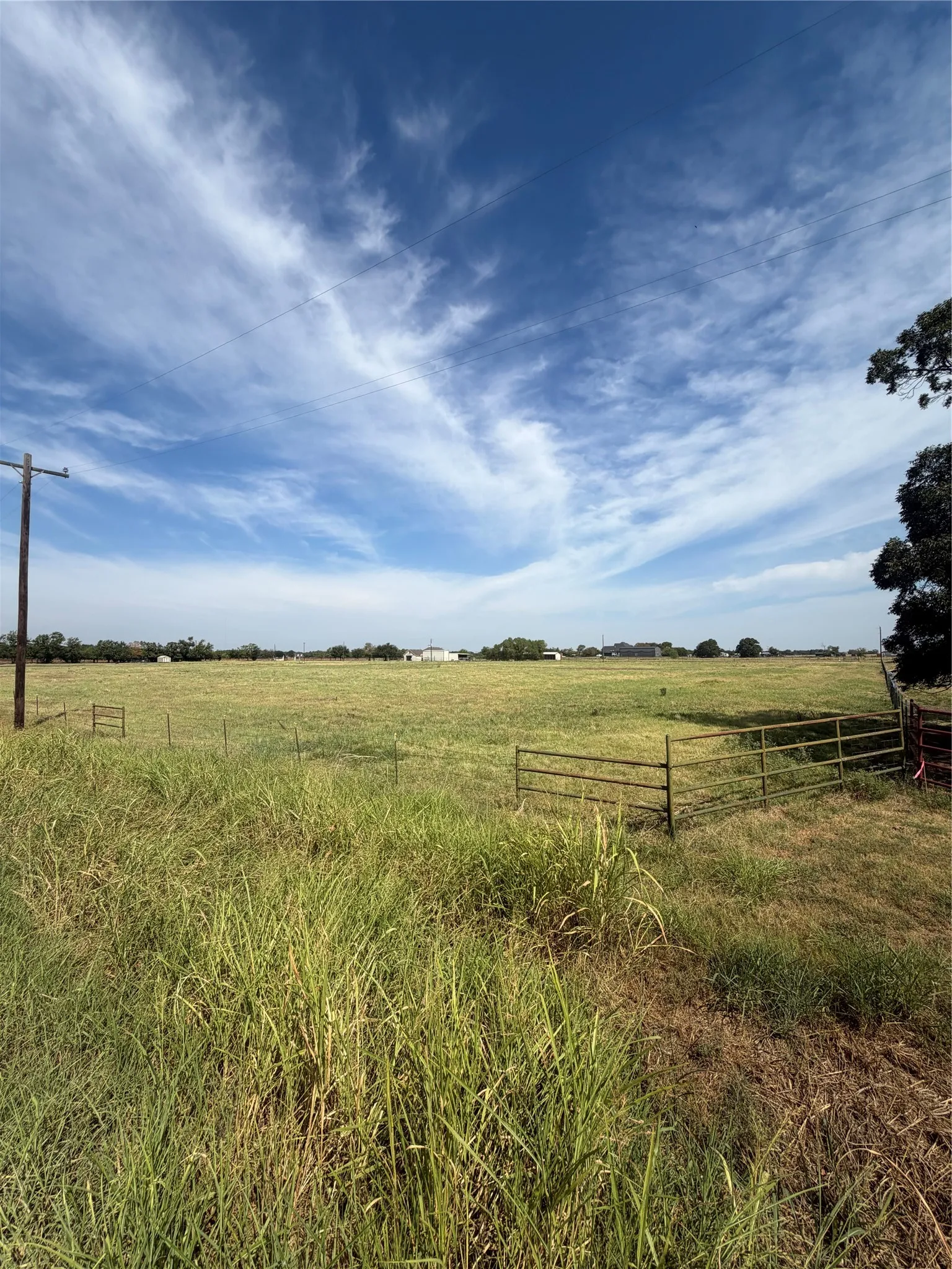 Unimproved Land For Sale in Grayson County , tbd Hog Town, Collinsville, Texas 76233, 0, 0, Garage spaces, 0 Sqft, built in 0, mls#21372177, Real Estate Agent in Collinsville, Homes For Sale in Grayson county, Homes For Sale in Collinsville, Realtor in Collinsville Texas, Real Estate Brokerage Independent Realty Texas, Luminita Cordes Realtor