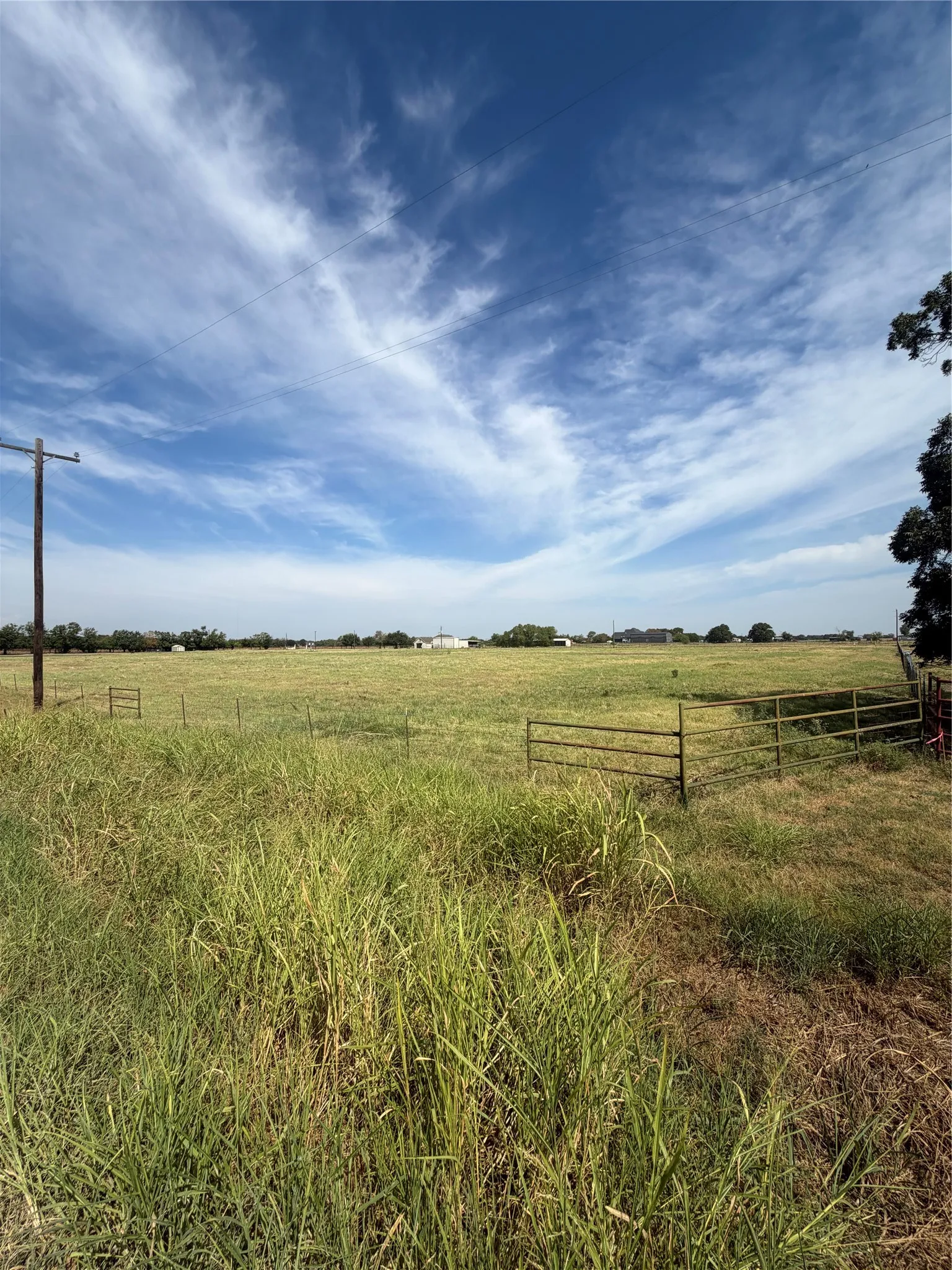 Unimproved Land For Sale in Grayson County , tbd Hog Town, Collinsville, Texas 76233, 0, 0, Garage spaces, 0 Sqft, built in 0, mls#21372177, Real Estate Agent in Collinsville, Homes For Sale in Grayson county, Homes For Sale in Collinsville, Realtor in Collinsville Texas, Real Estate Brokerage Independent Realty Texas, Luminita Cordes Realtor
