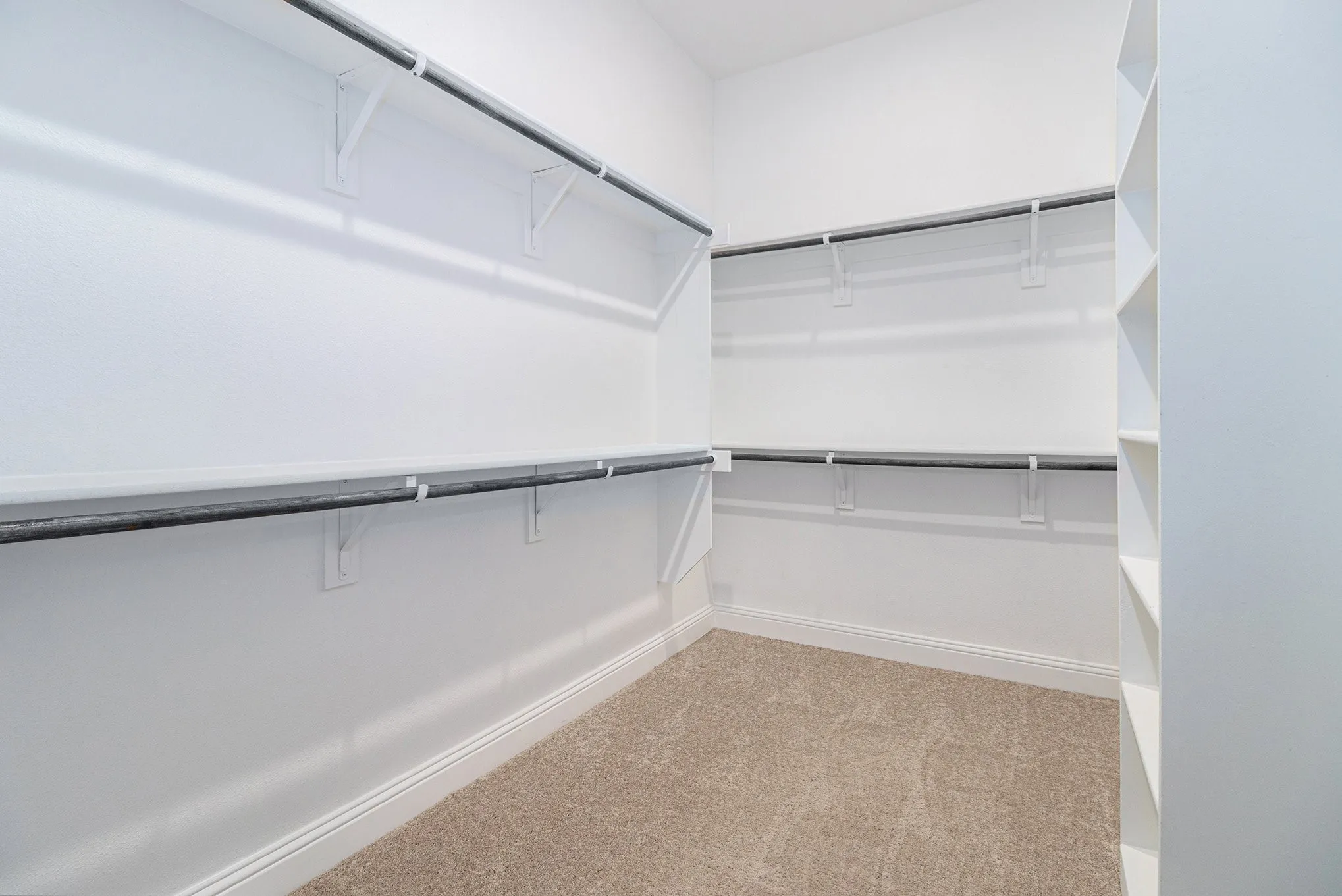 Built-in shelving units, multiple hanging rods, and neutral carpeting