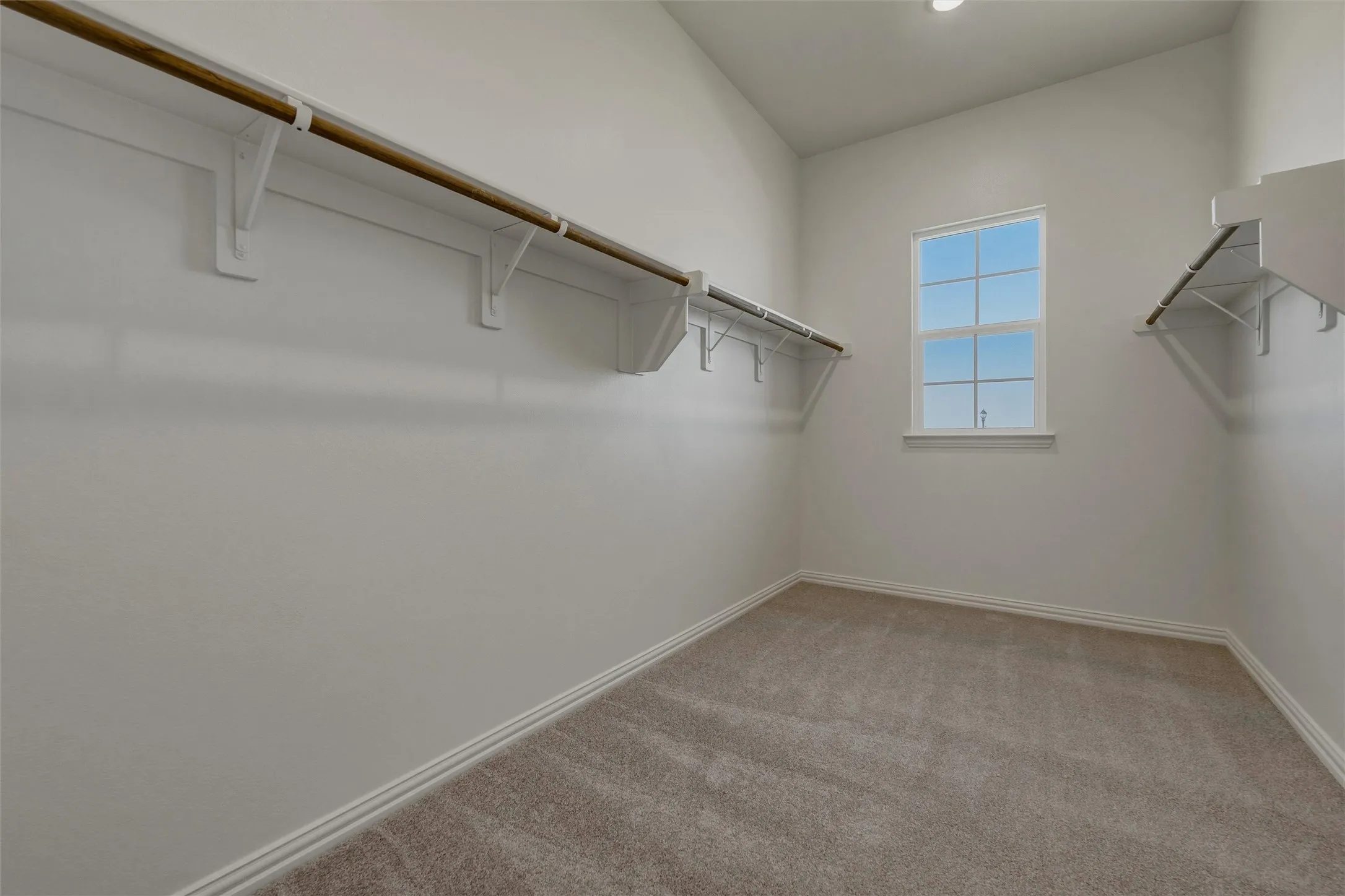 Spacious walk-in closet featuring built-in shelving, hanging rods, an integrated window, and neutral carpeting