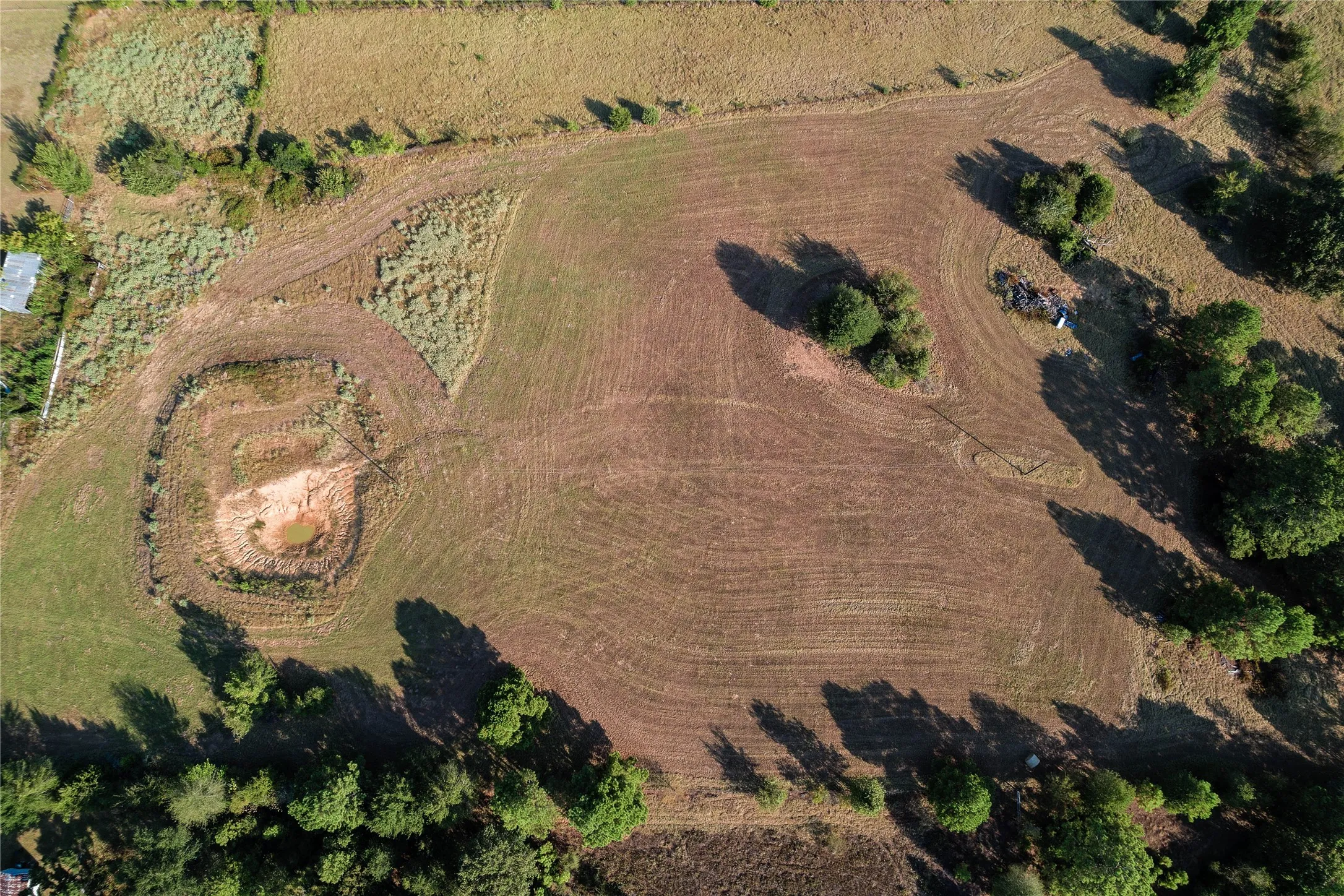 Expansive open land with varied vegetation and scattered trees