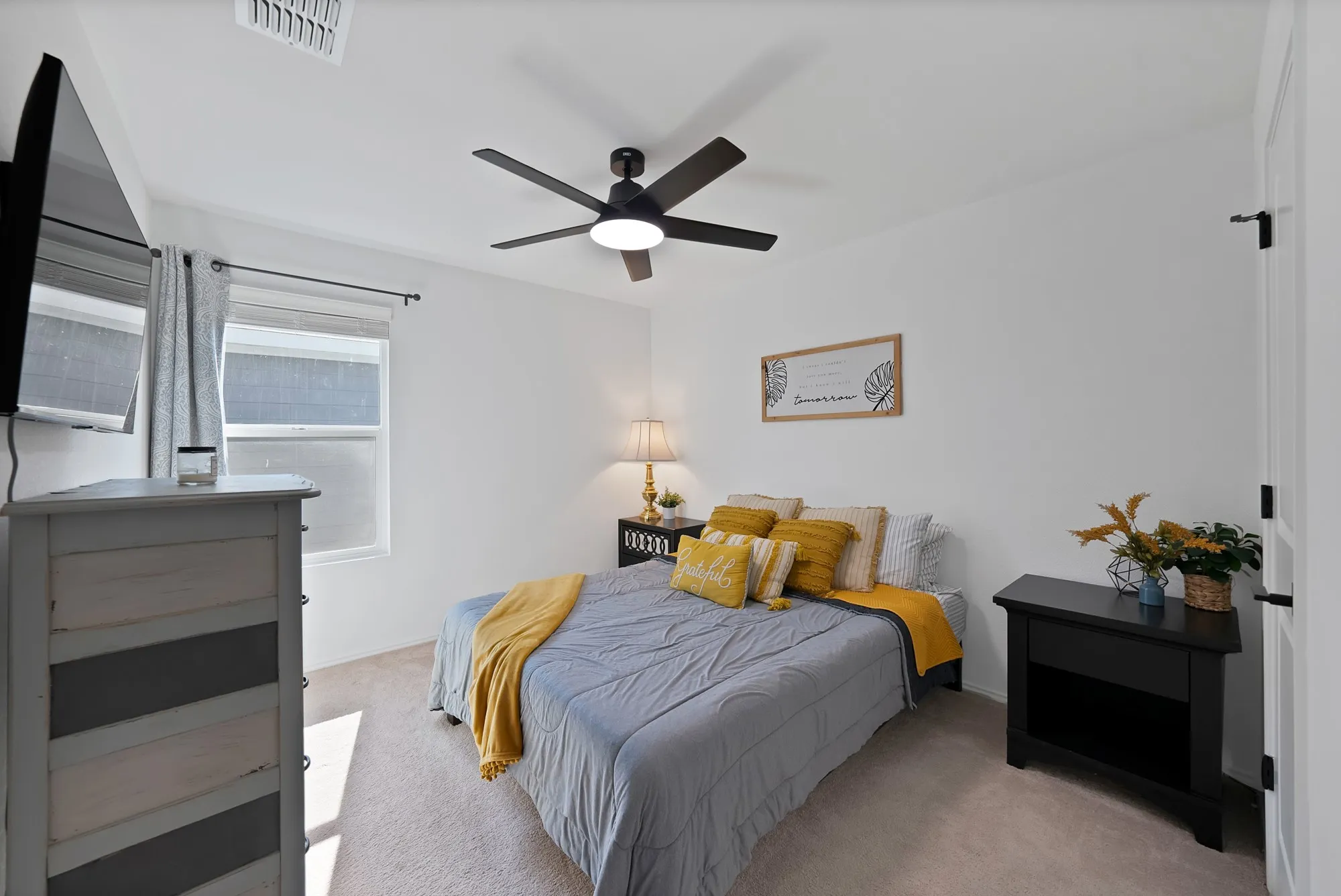 Wall-mounted television, ceiling fan with integrated lighting, window with blinds and curtain rod, wall-to-wall carpeting, and white painted walls