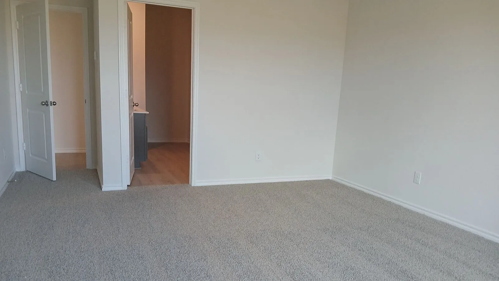 Plush carpeting, light neutral wall paint, white trim, and white two-panel doors