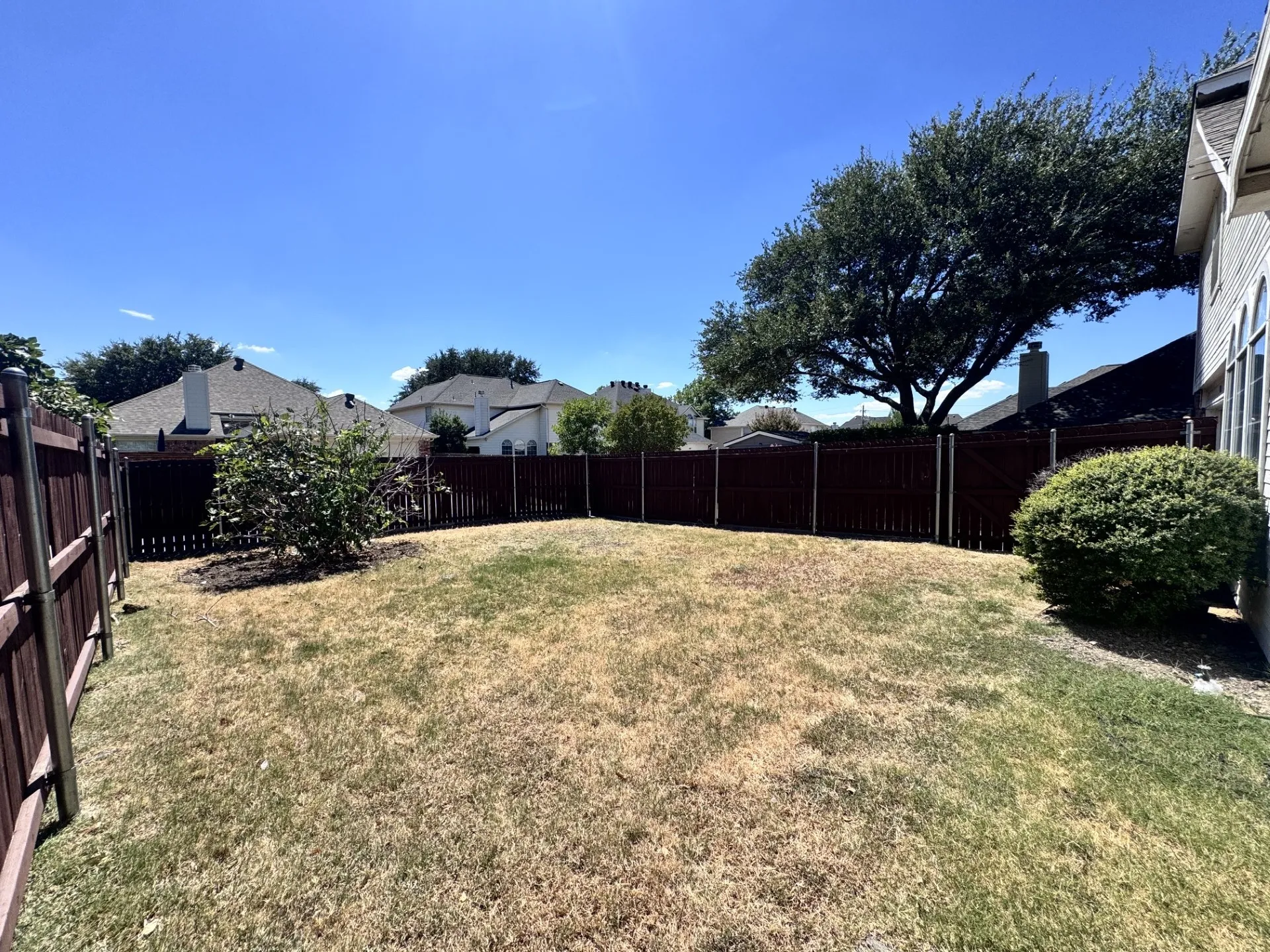 Expansive backyard with mature shade trees, wood-finish fencing, and drought-tolerant landscaping