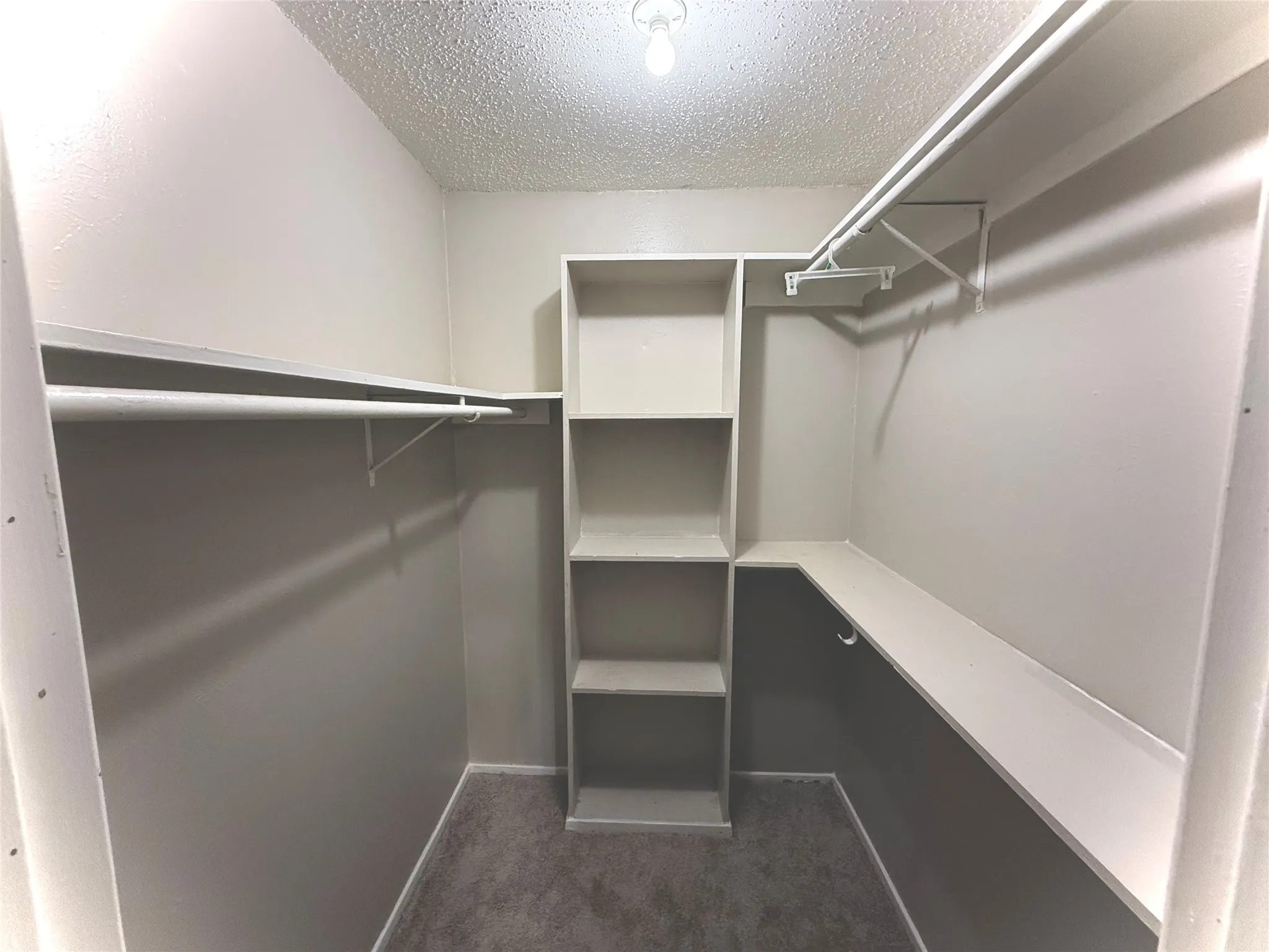 Walk-in closet with carpet flooring, built-in shelving, and multiple clothing rods