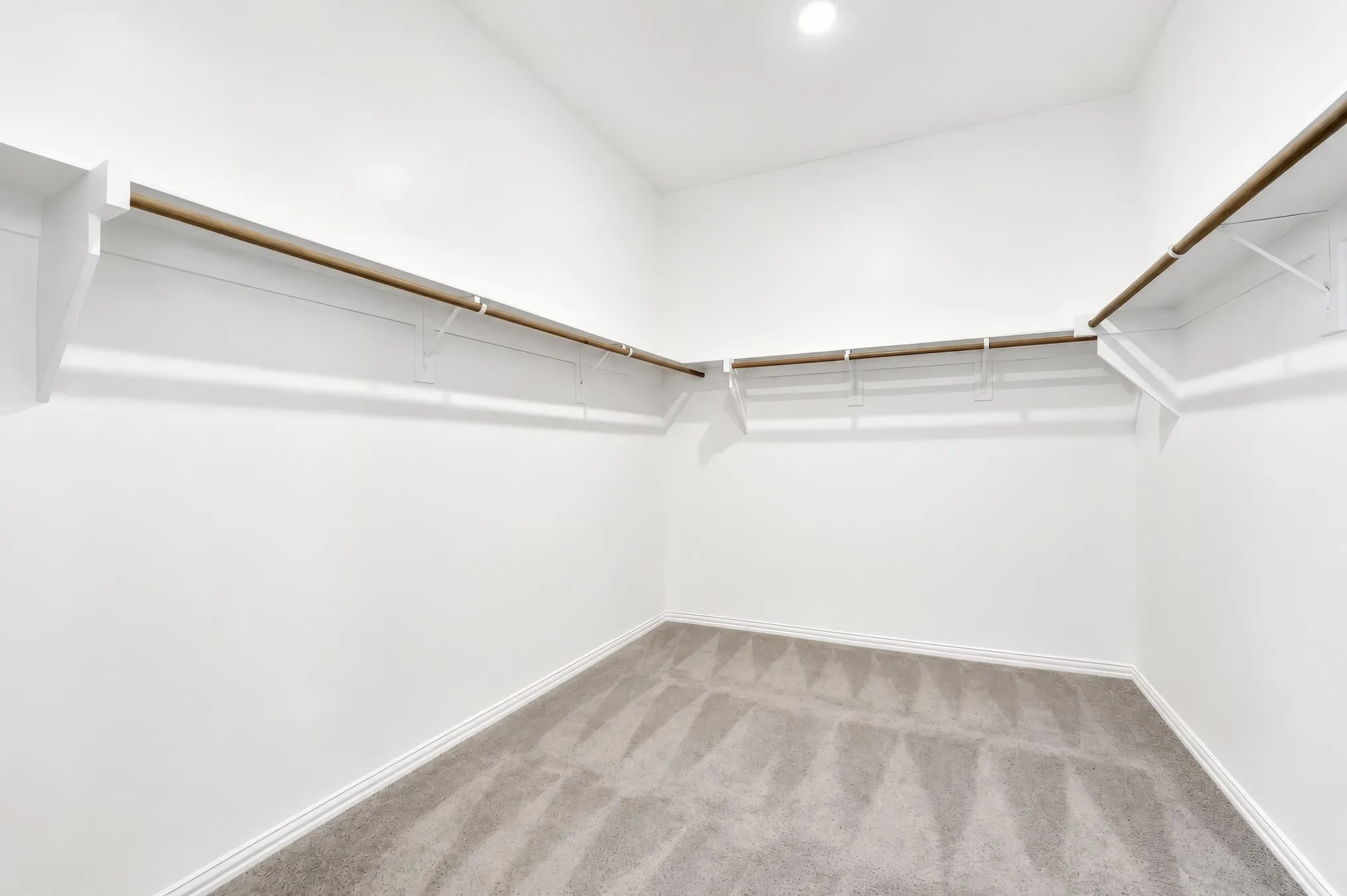 Walk-in closet with integrated shelving, hanging rods, and neutral-toned carpeting