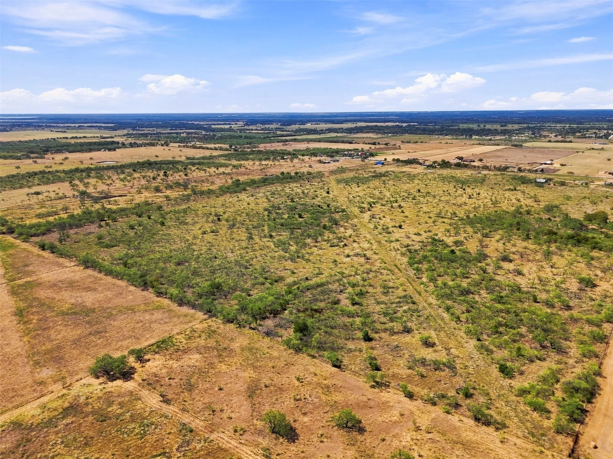 Expansive rural landscape featuring a mix of open fields and scattered mature trees