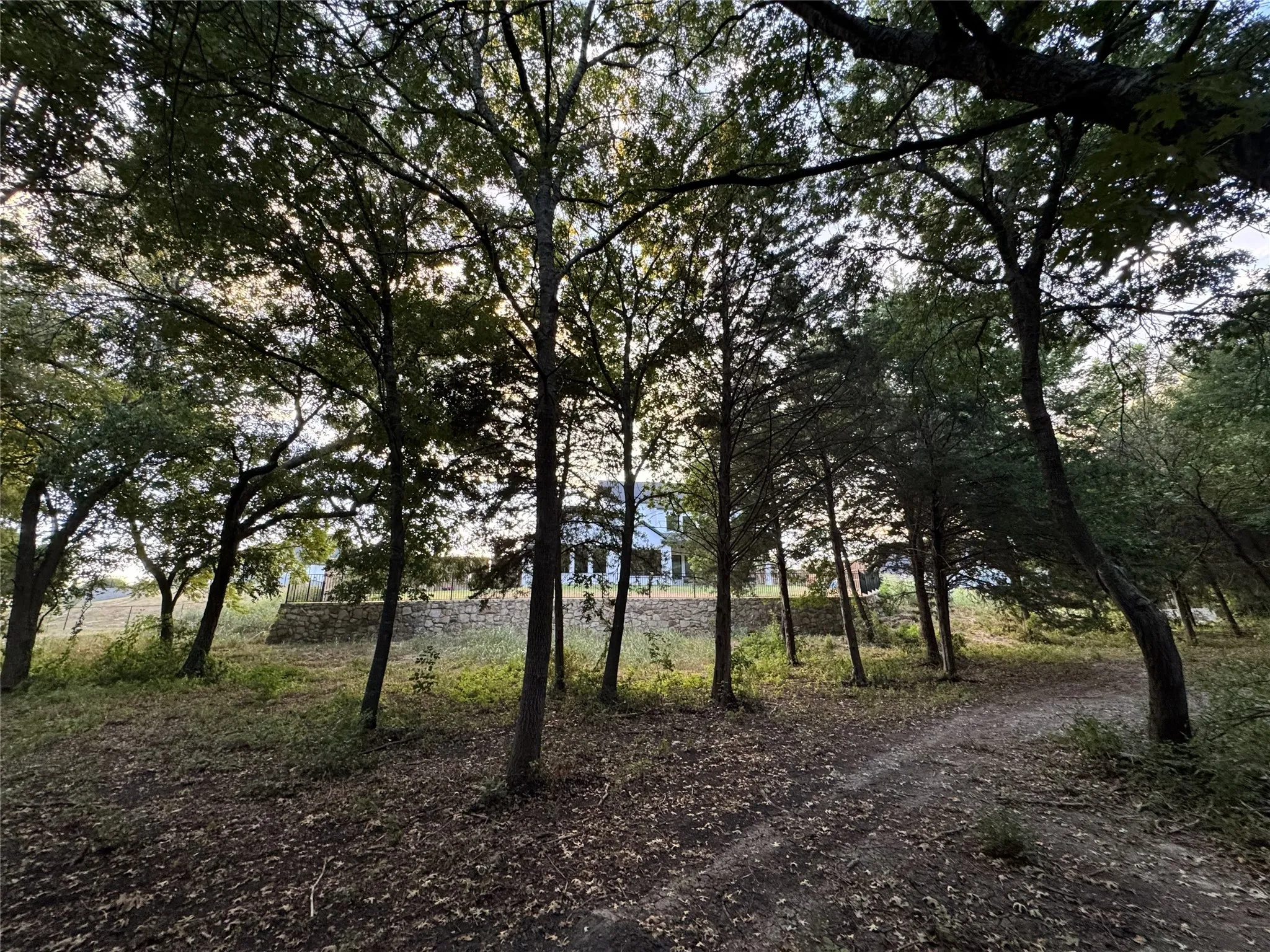 wooded wonderland
