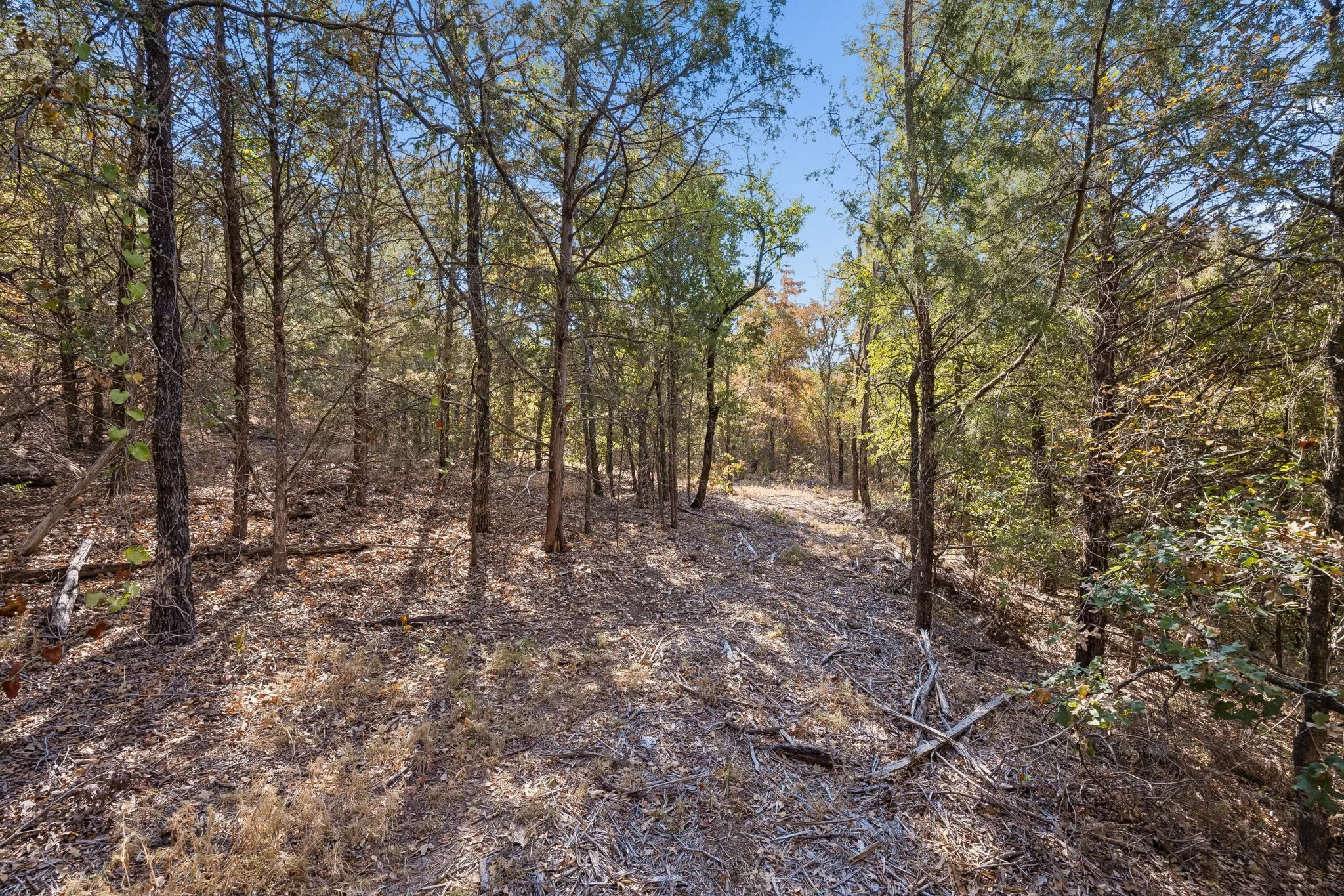 Improved Land For Sale in Denton County , 2301 Moseley (Land) Road, Cross Roads, Texas 76227, 0, 0, Garage spaces, 0 Sqft, built in 1975, mls#21376833, Real Estate Agent in Cross Roads, Homes For Sale in Denton county, Homes For Sale in Cross Roads, Realtor in Cross Roads Texas, Real Estate Brokerage Independent Realty Texas, Luminita Cordes Realtor