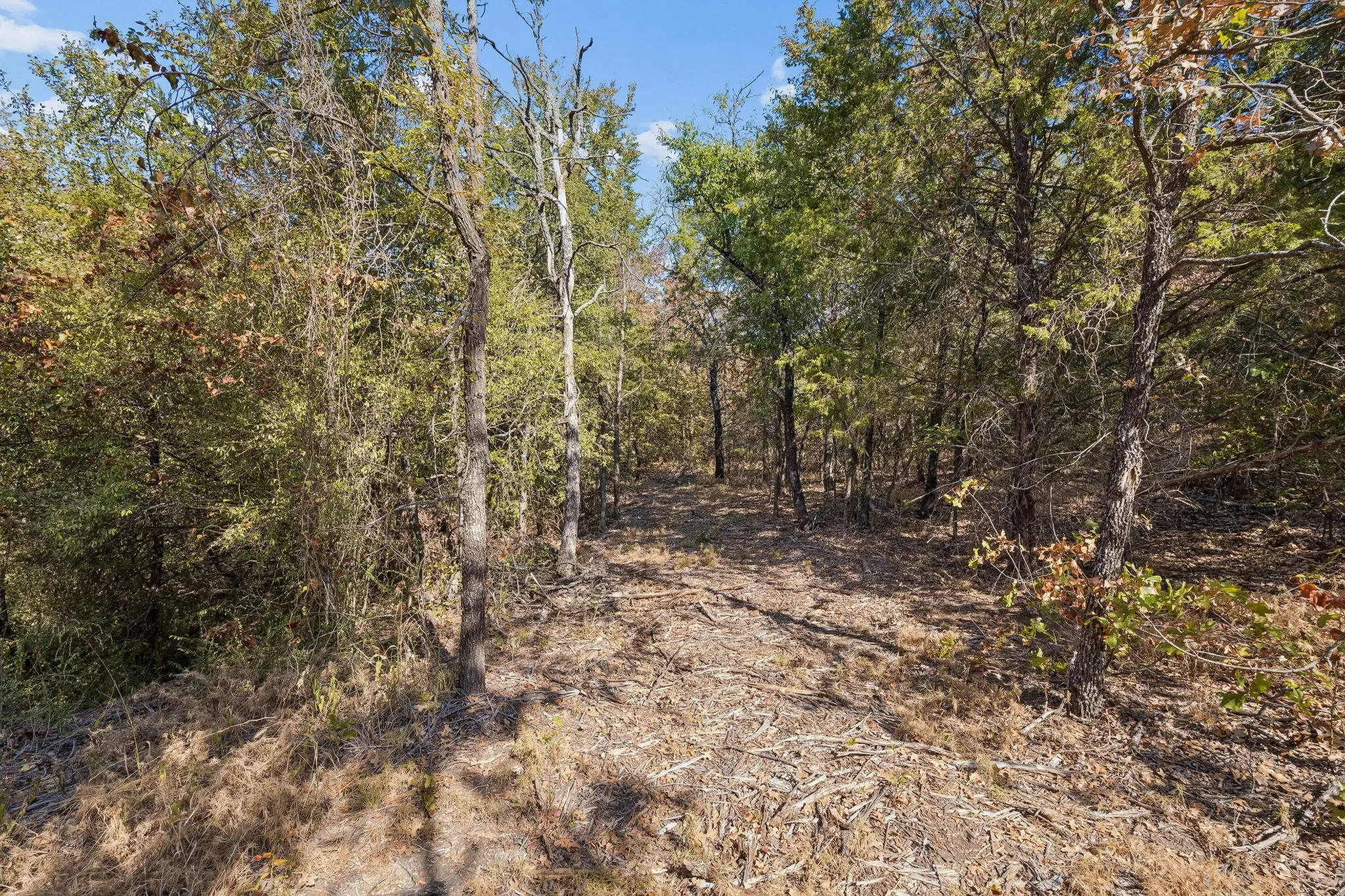 Improved Land For Sale in Denton County , 2301 Moseley (Land) Road, Cross Roads, Texas 76227, 0, 0, Garage spaces, 0 Sqft, built in 1975, mls#21376833, Real Estate Agent in Cross Roads, Homes For Sale in Denton county, Homes For Sale in Cross Roads, Realtor in Cross Roads Texas, Real Estate Brokerage Independent Realty Texas, Luminita Cordes Realtor