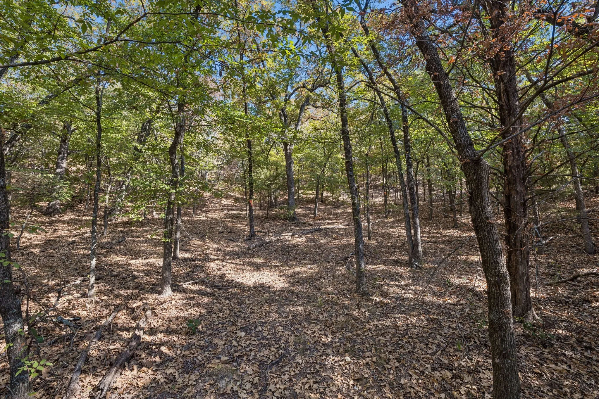 Improved Land For Sale in Denton County , 2301 Moseley (Land) Road, Cross Roads, Texas 76227, 0, 0, Garage spaces, 0 Sqft, built in 1975, mls#21376833, Real Estate Agent in Cross Roads, Homes For Sale in Denton county, Homes For Sale in Cross Roads, Realtor in Cross Roads Texas, Real Estate Brokerage Independent Realty Texas, Luminita Cordes Realtor