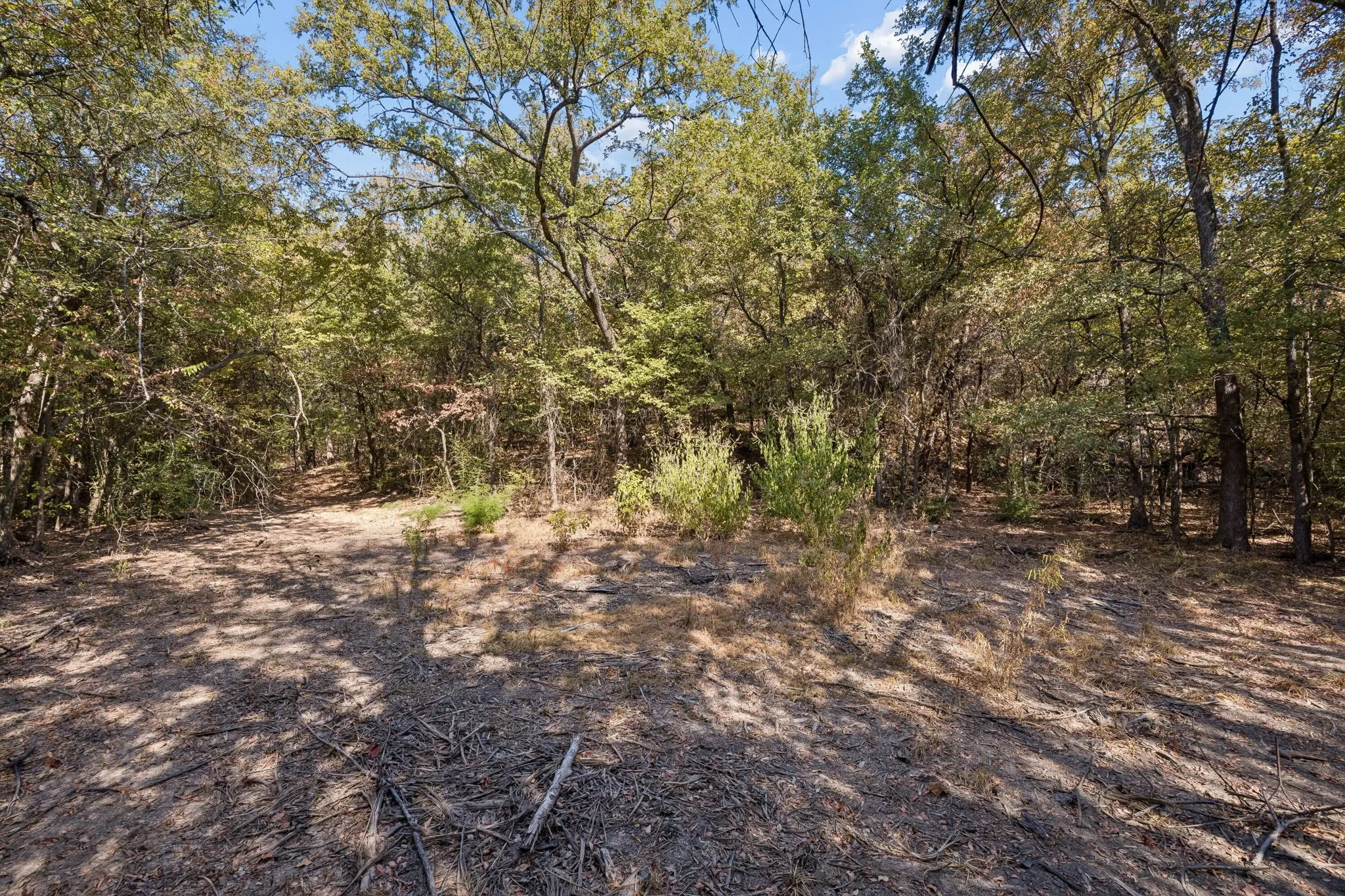 Improved Land For Sale in Denton County , 2301 Moseley (Land) Road, Cross Roads, Texas 76227, 0, 0, Garage spaces, 0 Sqft, built in 1975, mls#21376833, Real Estate Agent in Cross Roads, Homes For Sale in Denton county, Homes For Sale in Cross Roads, Realtor in Cross Roads Texas, Real Estate Brokerage Independent Realty Texas, Luminita Cordes Realtor