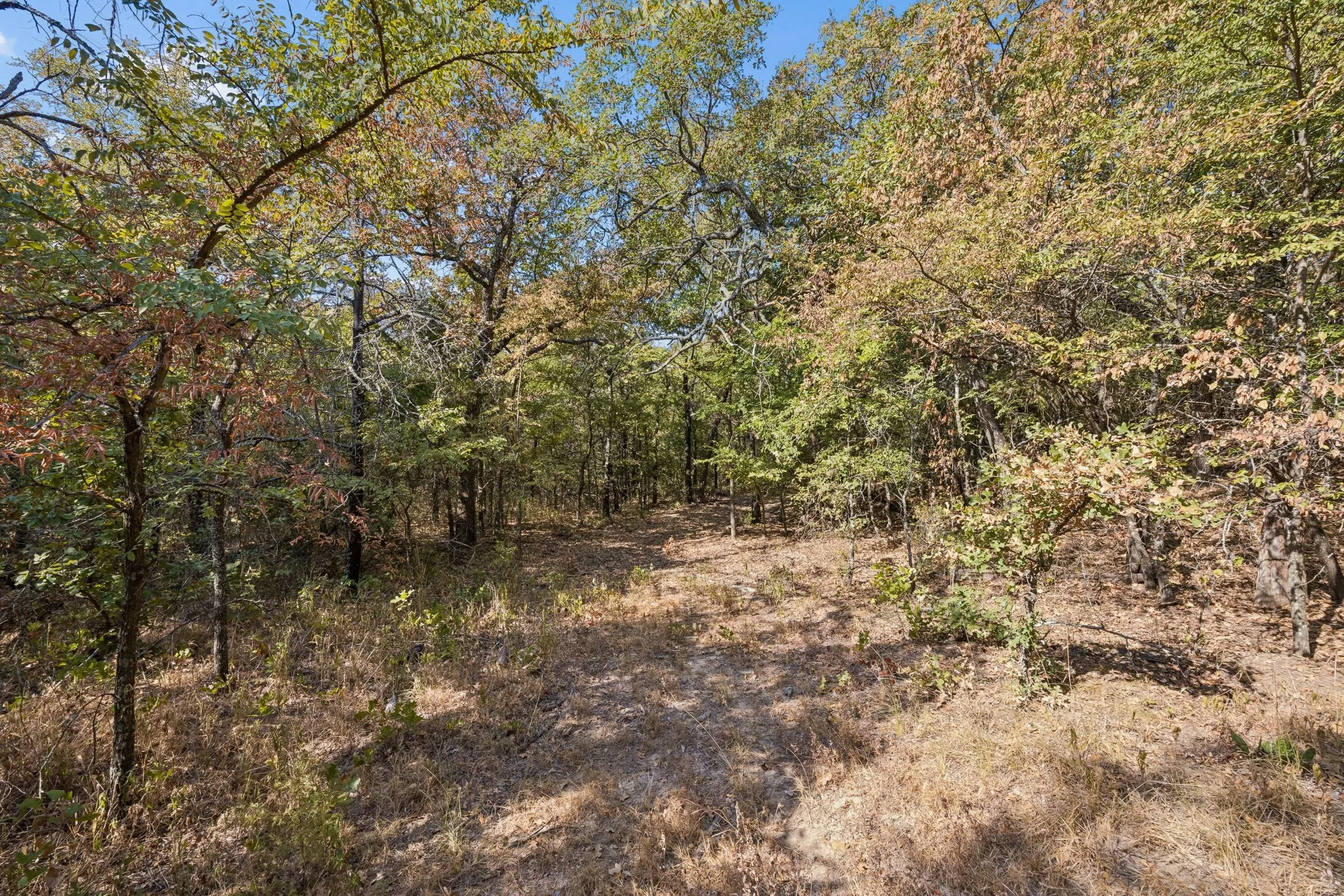 Improved Land For Sale in Denton County , 2301 Moseley (Land) Road, Cross Roads, Texas 76227, 0, 0, Garage spaces, 0 Sqft, built in 1975, mls#21376833, Real Estate Agent in Cross Roads, Homes For Sale in Denton county, Homes For Sale in Cross Roads, Realtor in Cross Roads Texas, Real Estate Brokerage Independent Realty Texas, Luminita Cordes Realtor