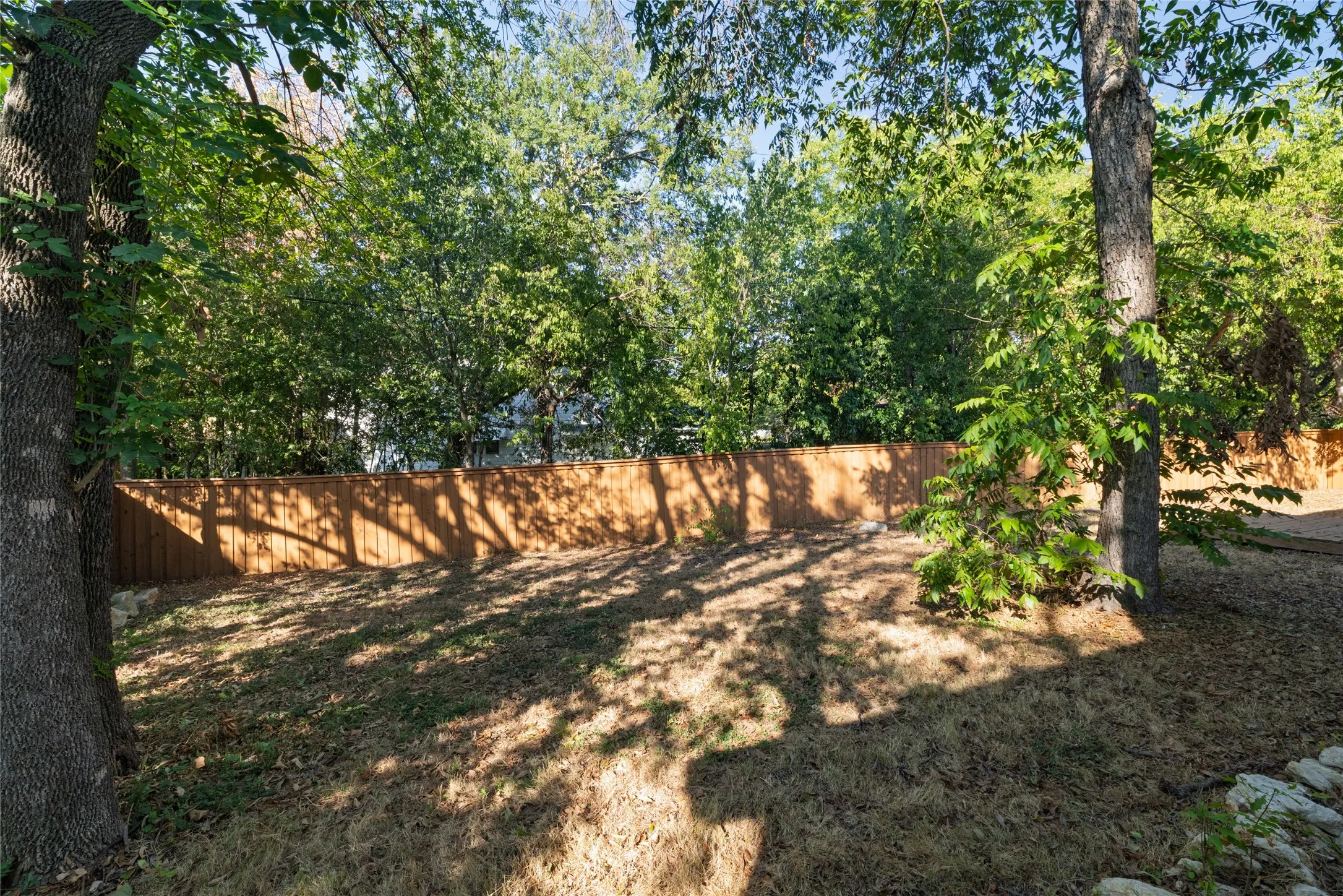 Fenced outdoor area with mature trees and natural ground cover