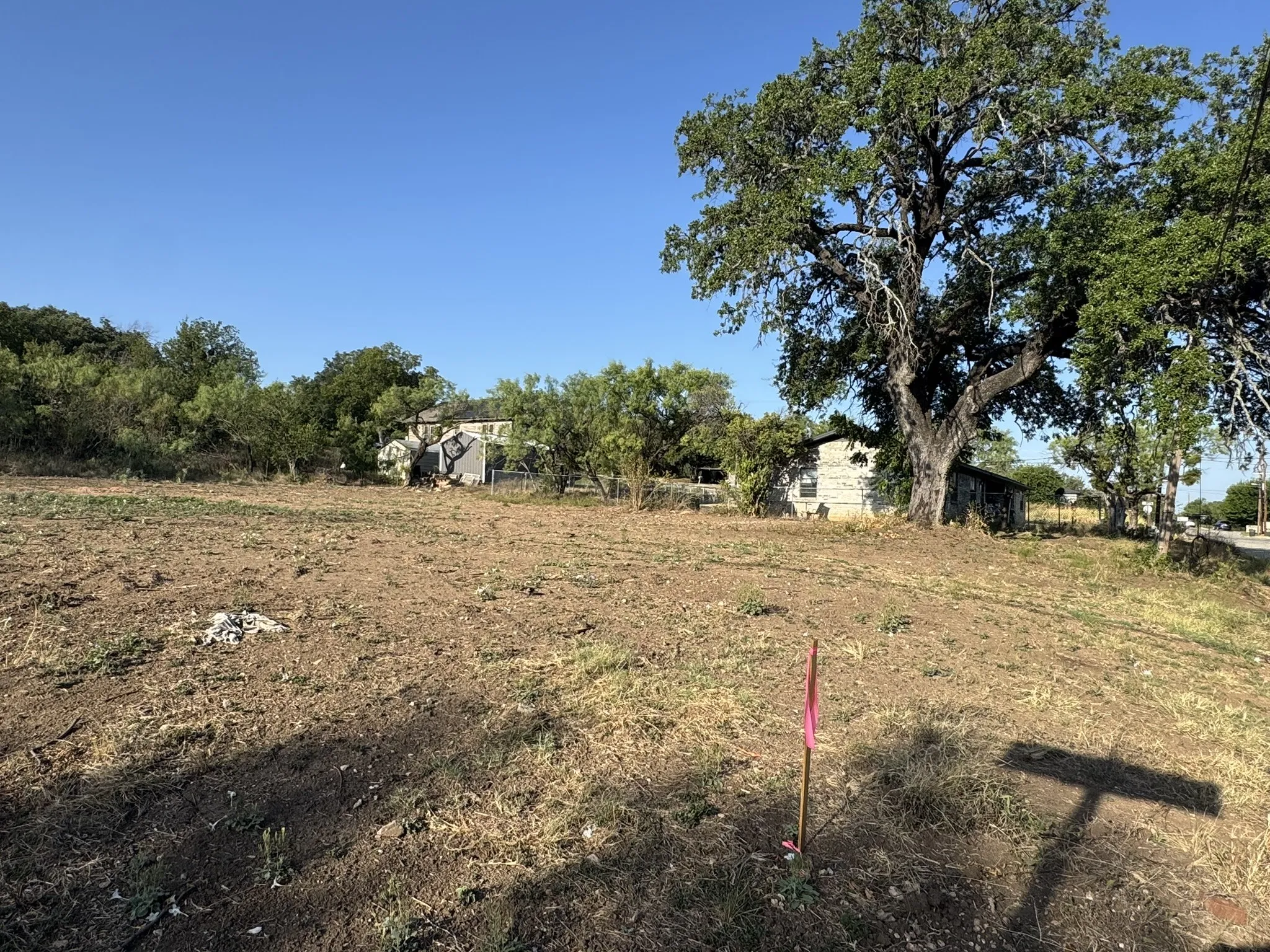 Expansive parcel featuring a large mature tree and undeveloped land