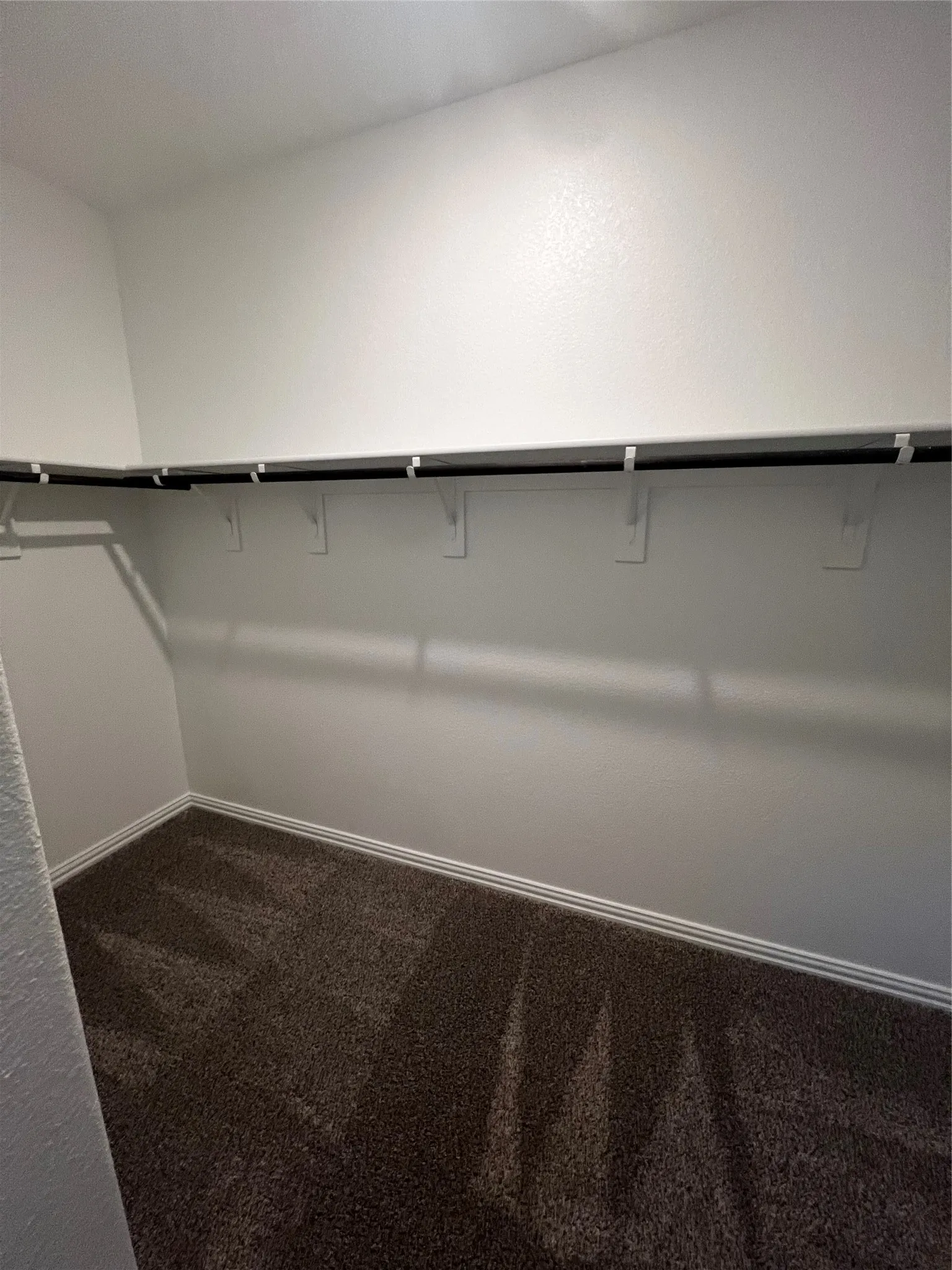 Wall-to-wall carpeting with light-toned walls and built-in shelving