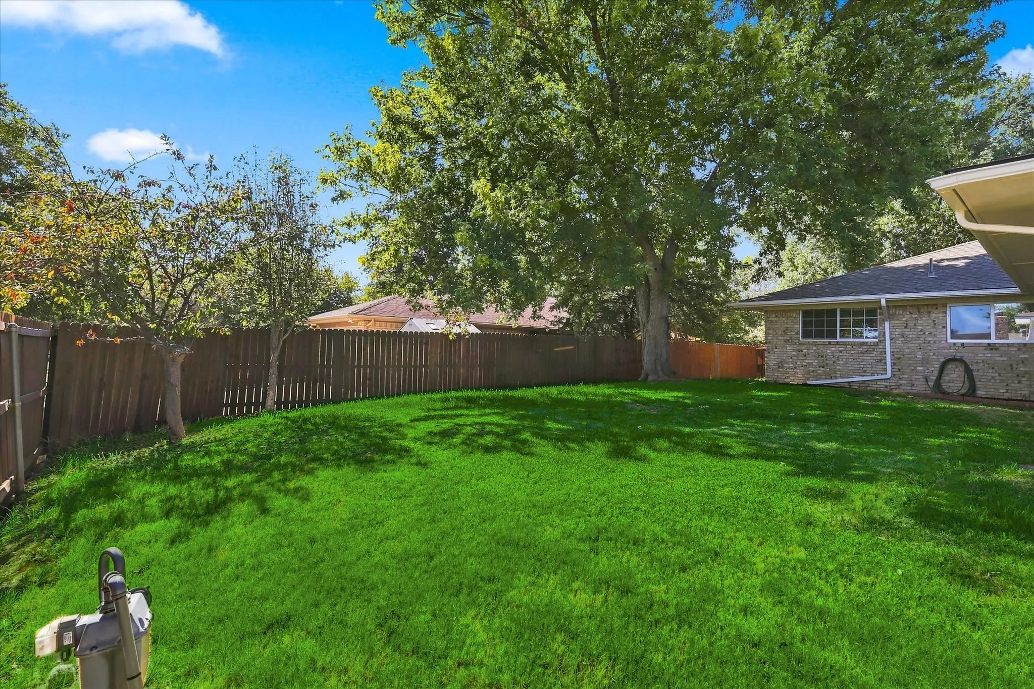 Large yard