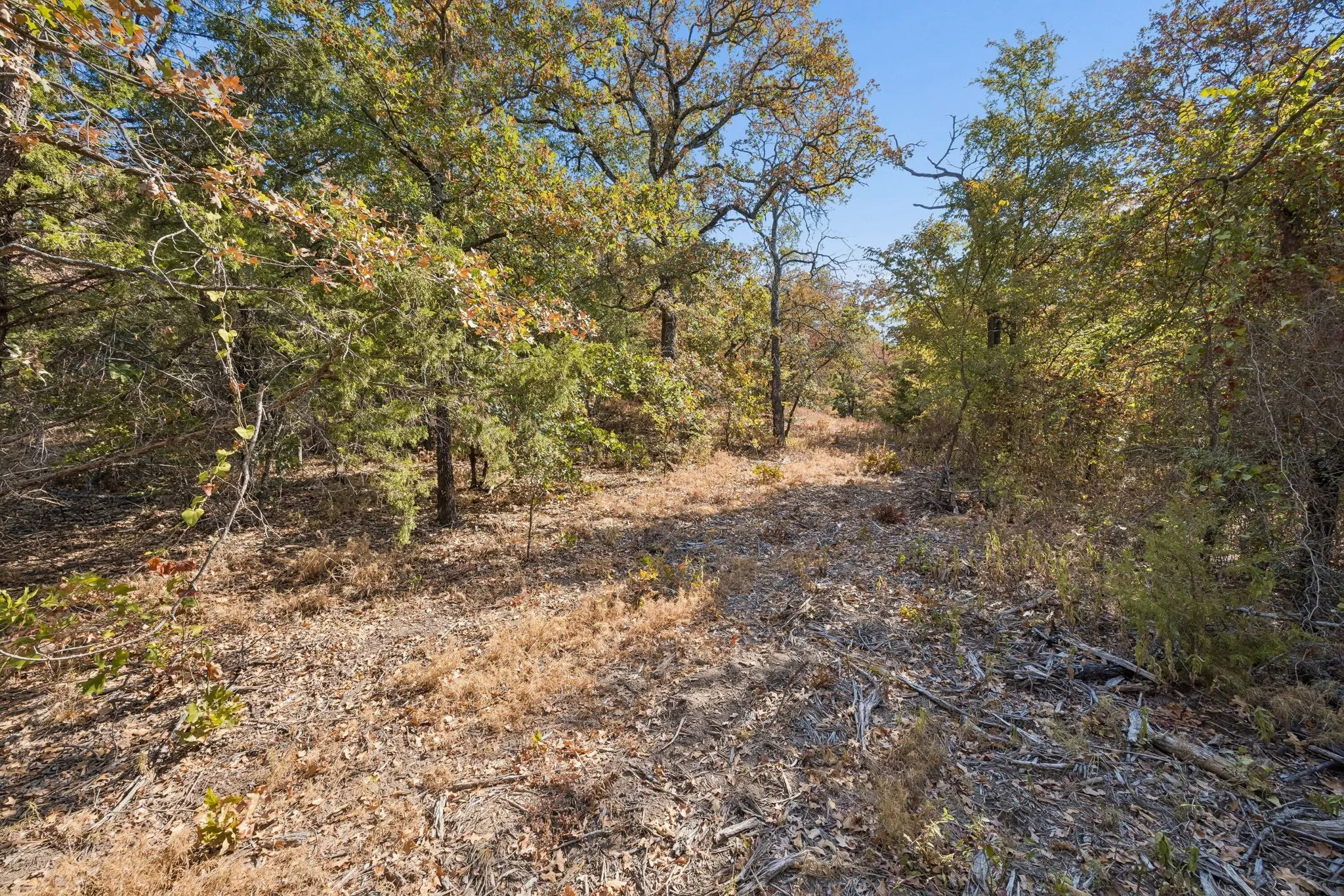 Single Family Residence For Sale in Denton County , 2301 Moseley Road, Cross Roads, Texas 76227, 2 Bedroom, 1 Bathroom, Garage spaces, 974 Sqft, built in 1975, mls#21376794, Real Estate Agent in Cross Roads, Homes For Sale in Denton county, Homes For Sale in Cross Roads, Realtor in Cross Roads Texas, Real Estate Brokerage Independent Realty Texas, Luminita Cordes Realtor