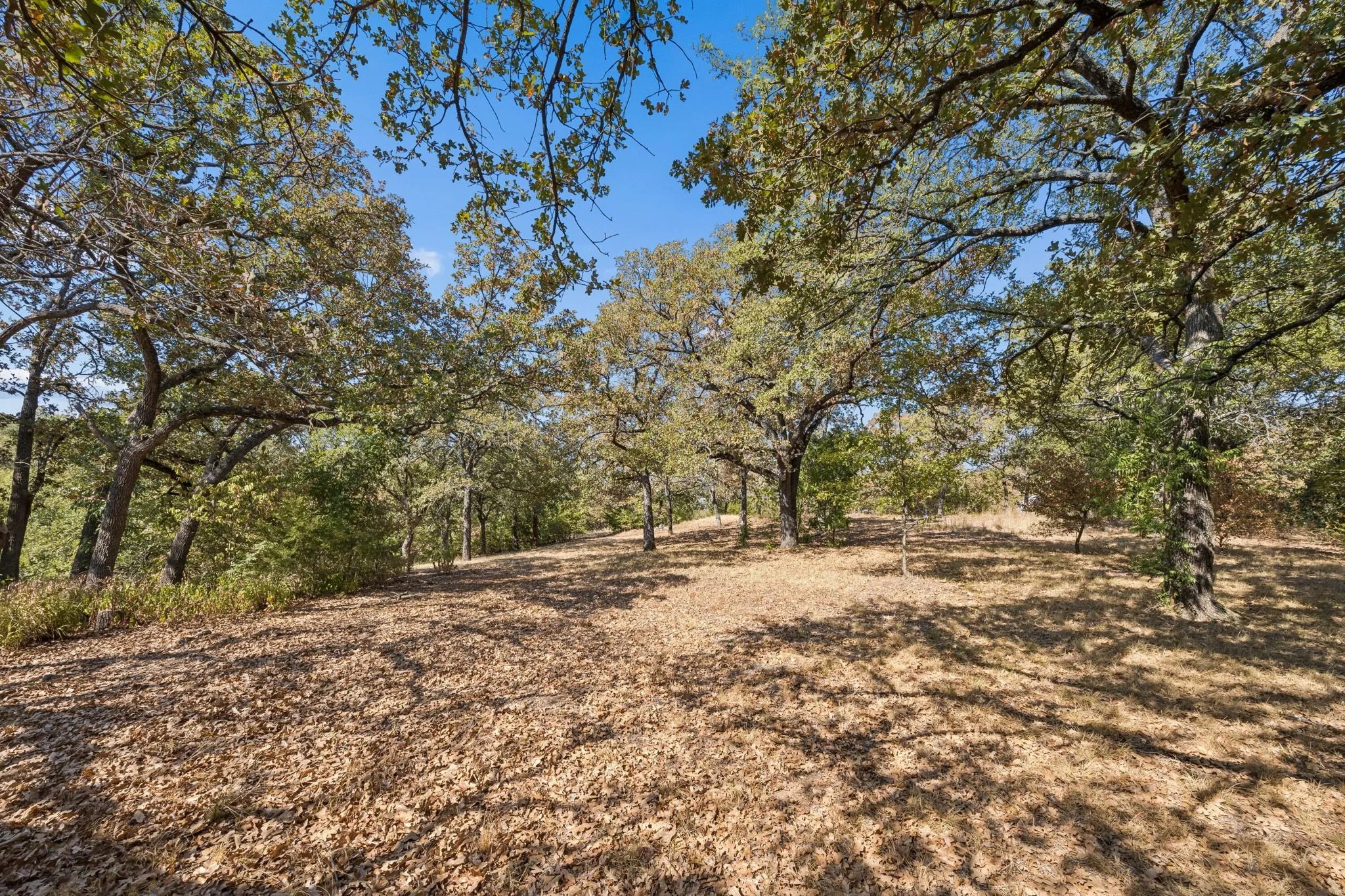 Single Family Residence For Sale in Denton County , 2301 Moseley Road, Cross Roads, Texas 76227, 2 Bedroom, 1 Bathroom, Garage spaces, 974 Sqft, built in 1975, mls#21376794, Real Estate Agent in Cross Roads, Homes For Sale in Denton county, Homes For Sale in Cross Roads, Realtor in Cross Roads Texas, Real Estate Brokerage Independent Realty Texas, Luminita Cordes Realtor