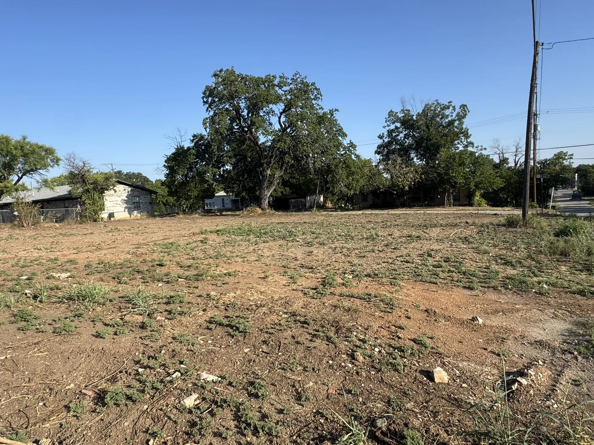 Expansive cleared lot with mature trees, a clear sky, and visible utility poles