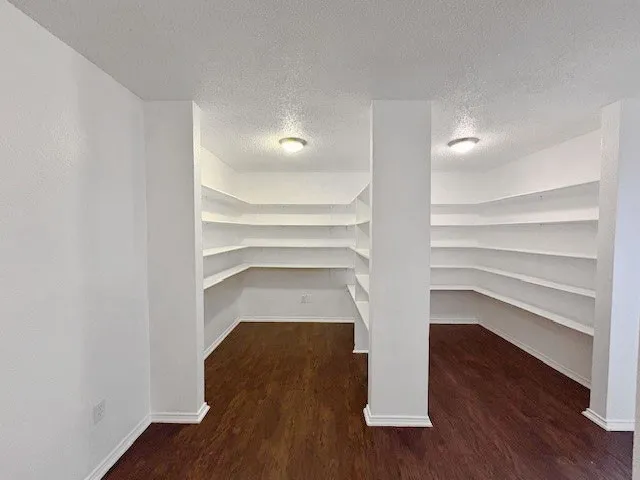 Large walk-in Kitchen Pantry