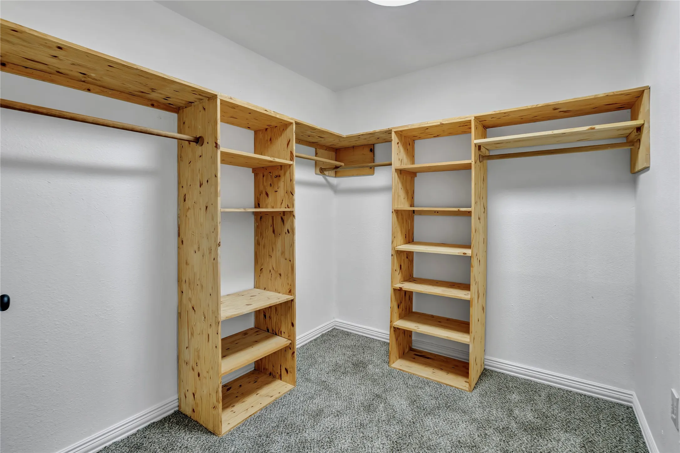 Walk-in closet featuring extensive built-in shelving and multiple hanging rods, complete with plush carpeting